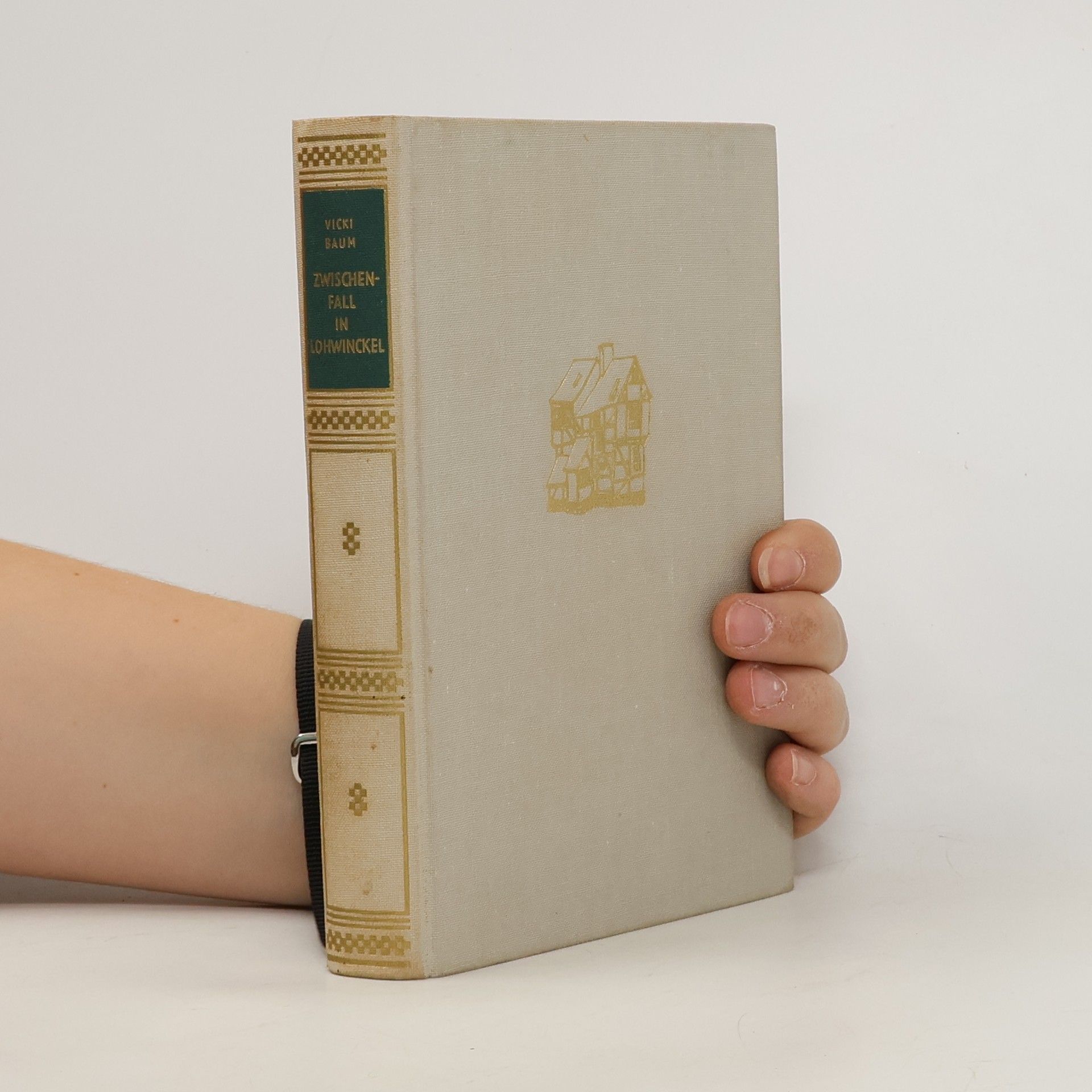 Vicki Baum Zwischenfall in Lohwinckel