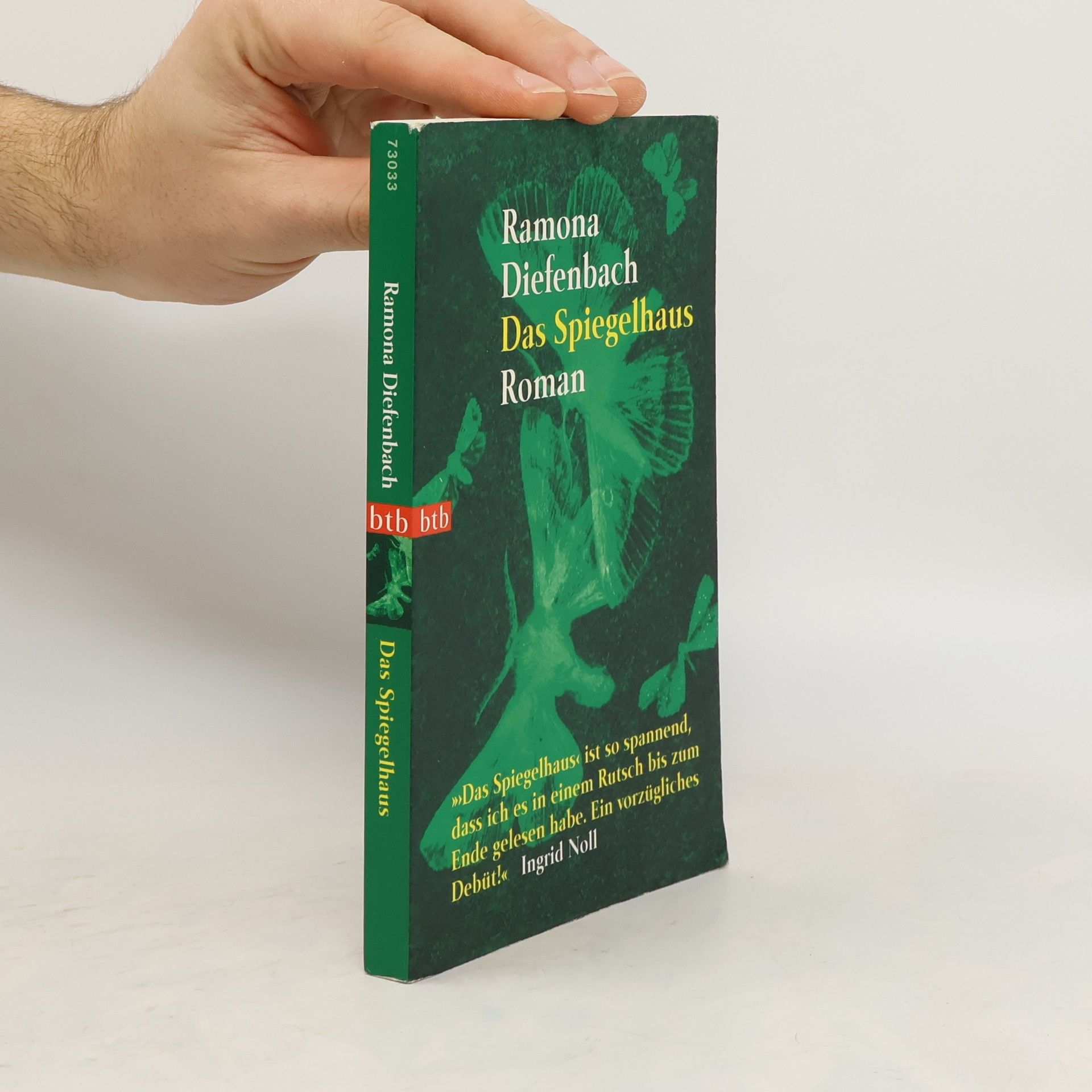 Ramona Diefenbach Das Spiegelhaus