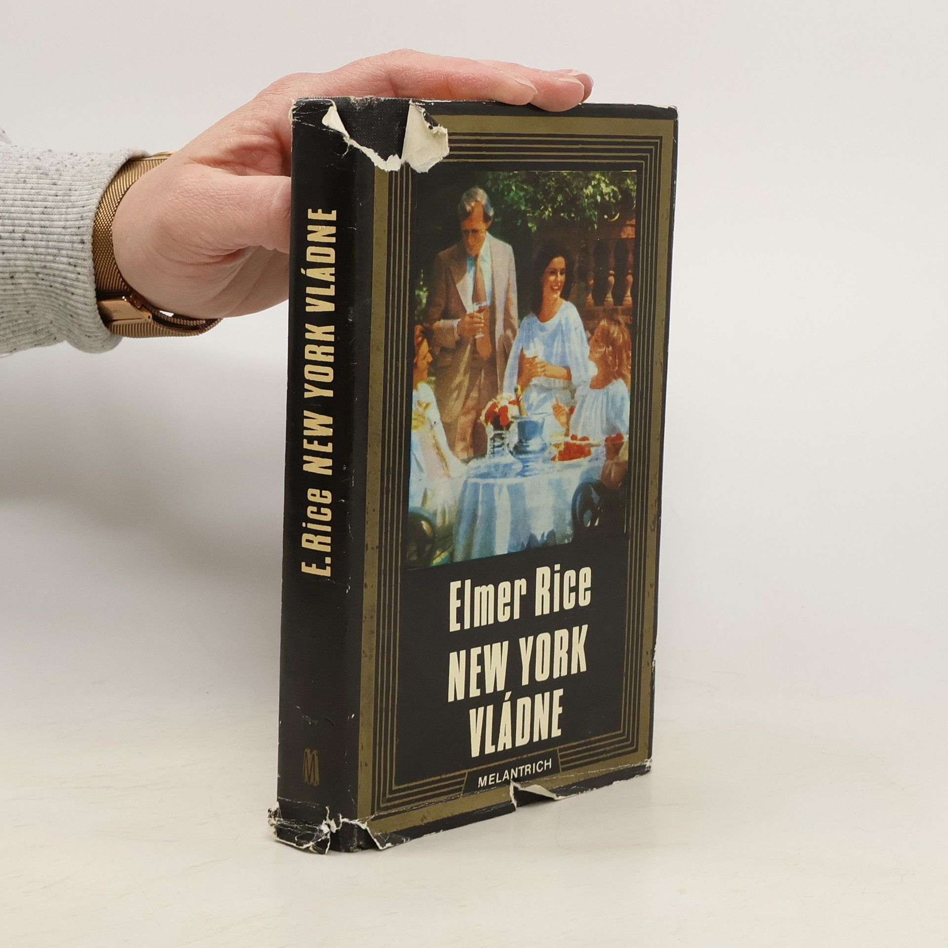 Elmer Rice New York vládne