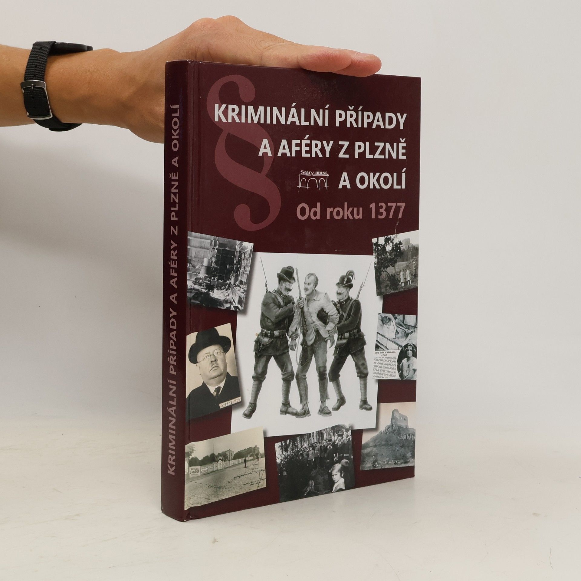Collectif d'auteurs Kriminální případy a aféry z Plzně a okolí: Od roku 1377