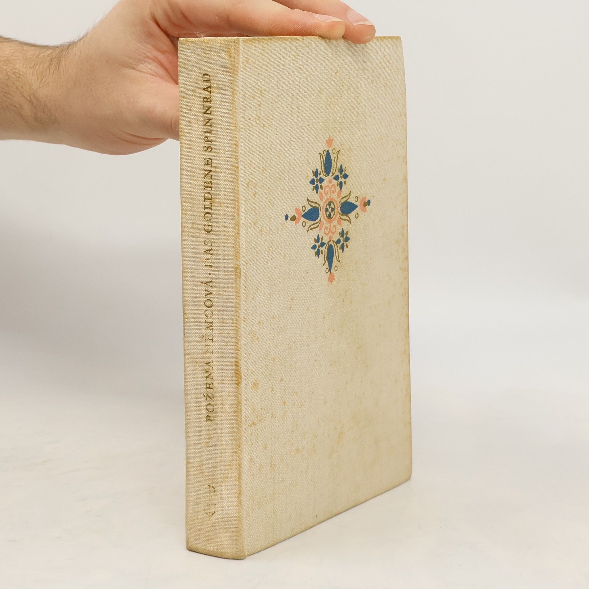 Božena Němcová Das goldrene Spinnrad