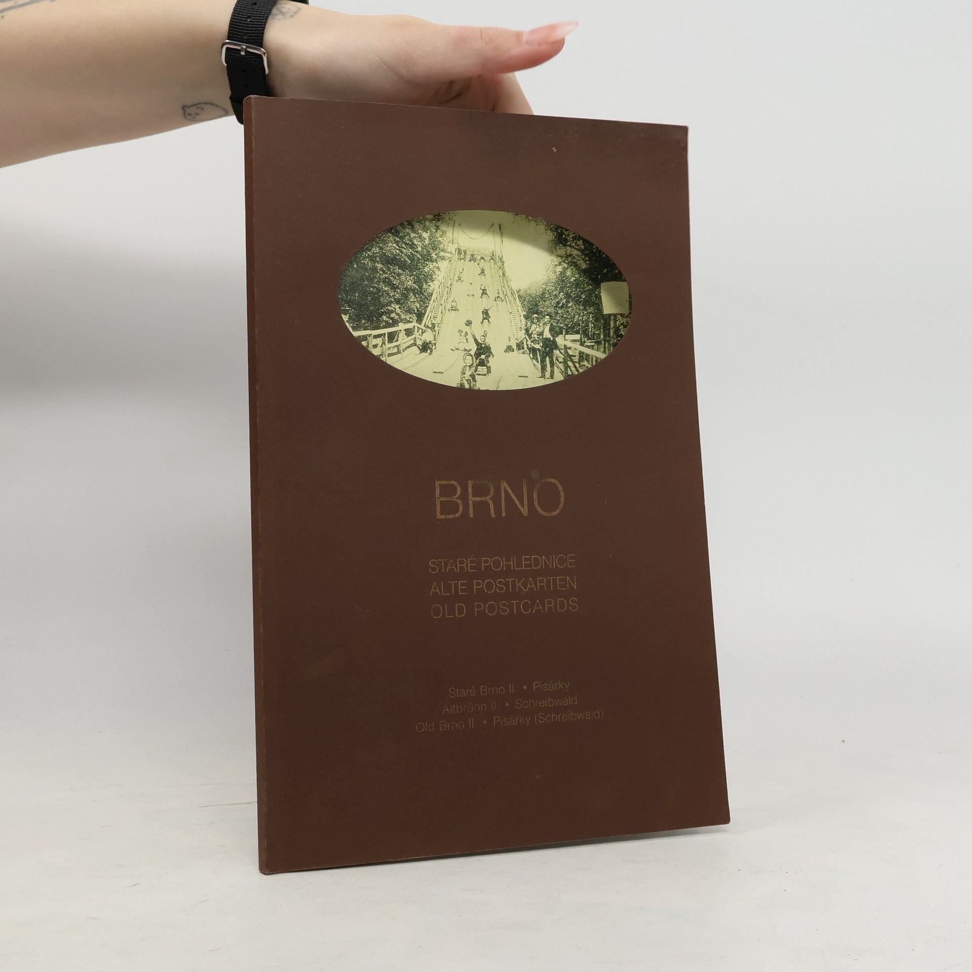 Vladimír Filip Brno. Staré pohlednice XII.