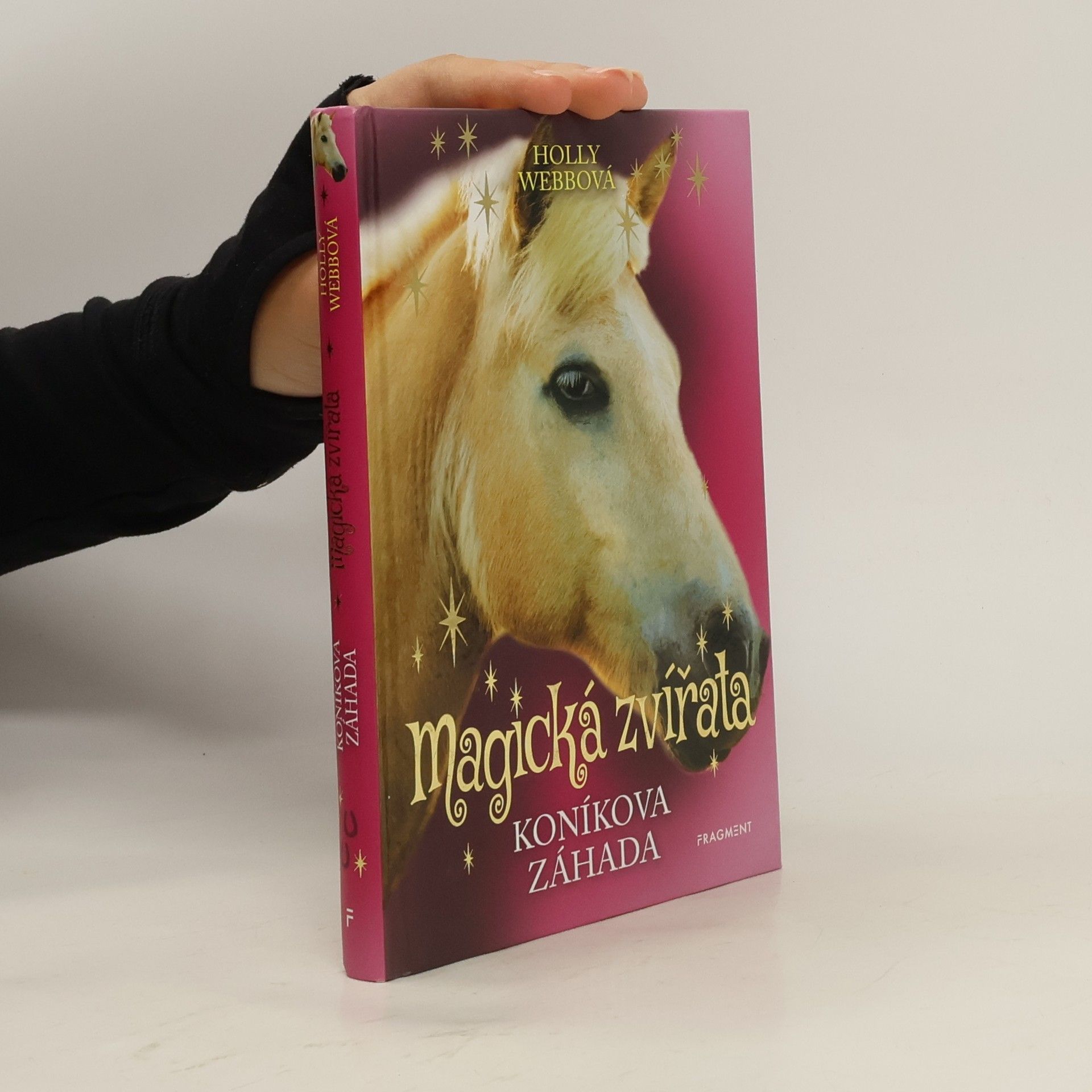 Holly Webb Koníkova záhada
