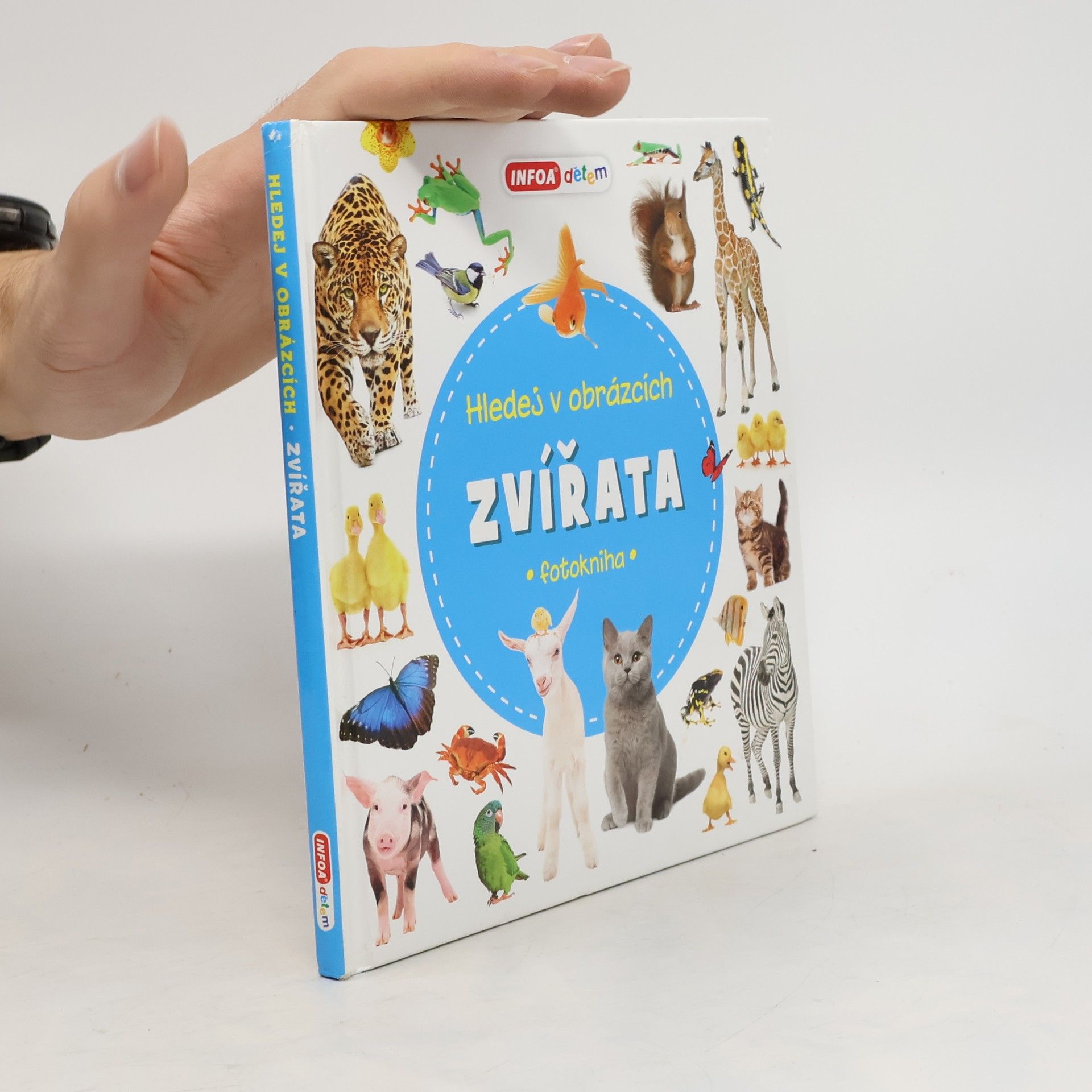 Autorenkollektiv Hledej v obrázcích. Zvířata : fotokniha