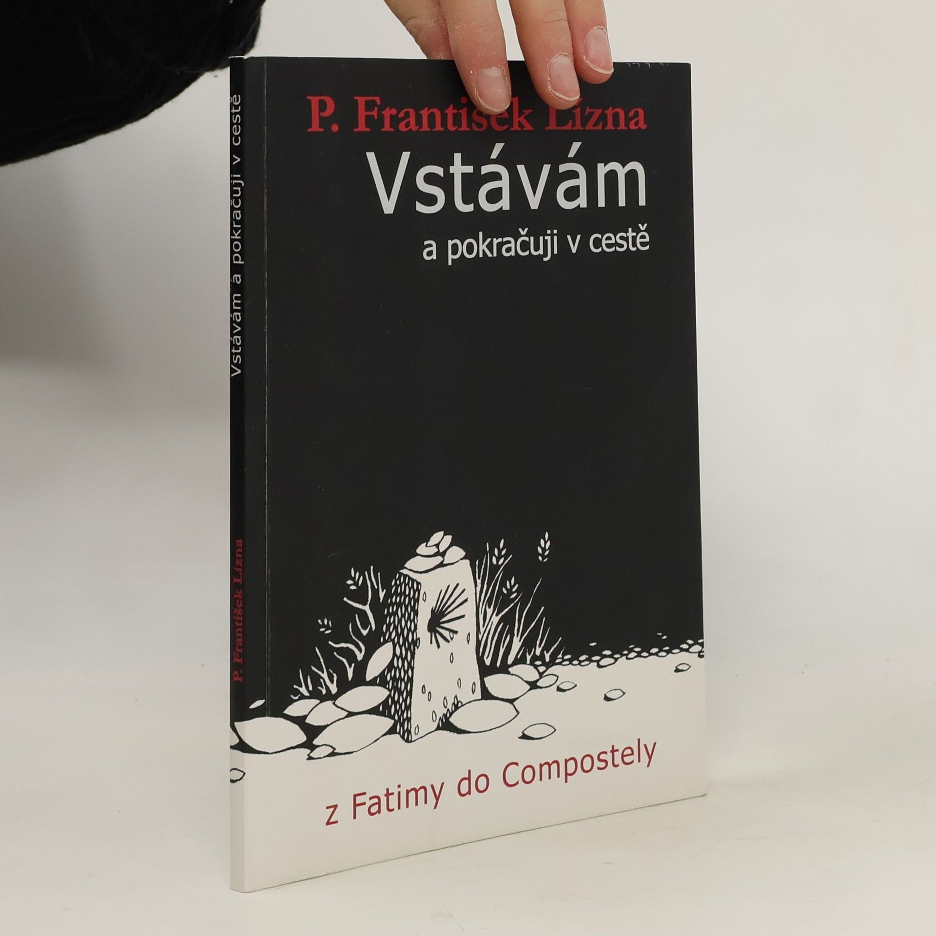 František Lízna Vstávám a pokračuji v cestě