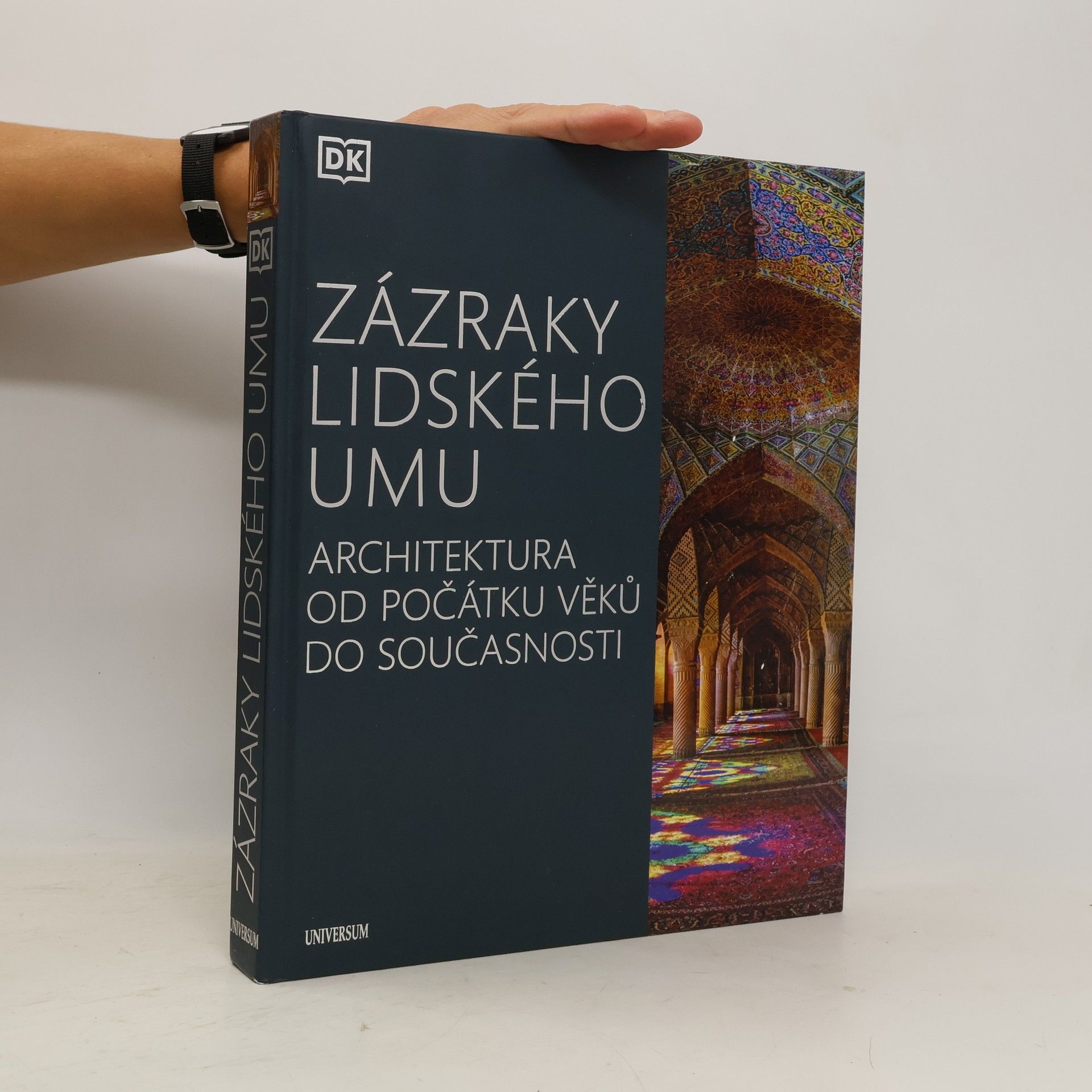 Dan Cruickshank Zázraky lidského umu: Architektura od počátku věků do současnosti