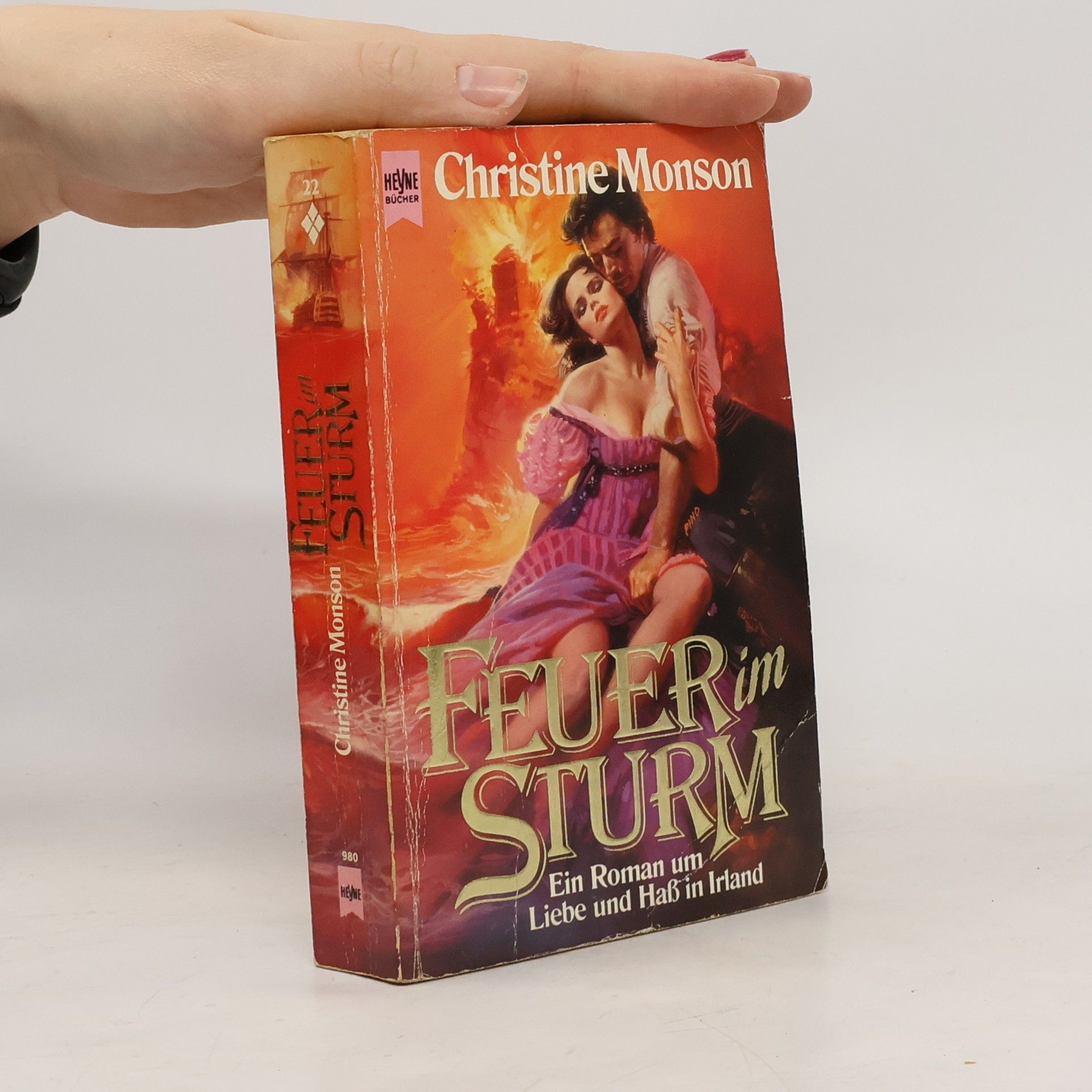 Feuer im Sturm. Roman.