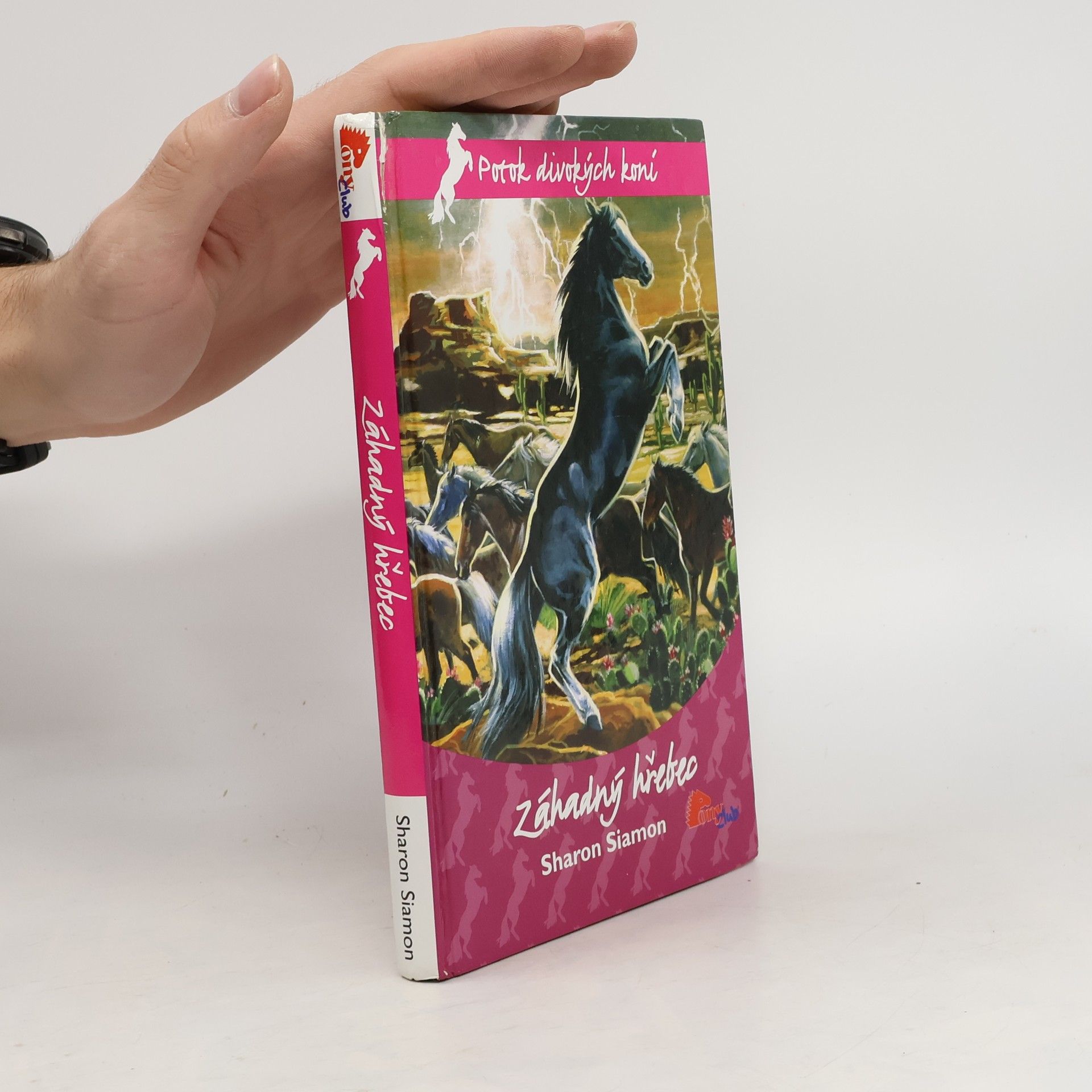Sharon Siamon Záhadný hřebec