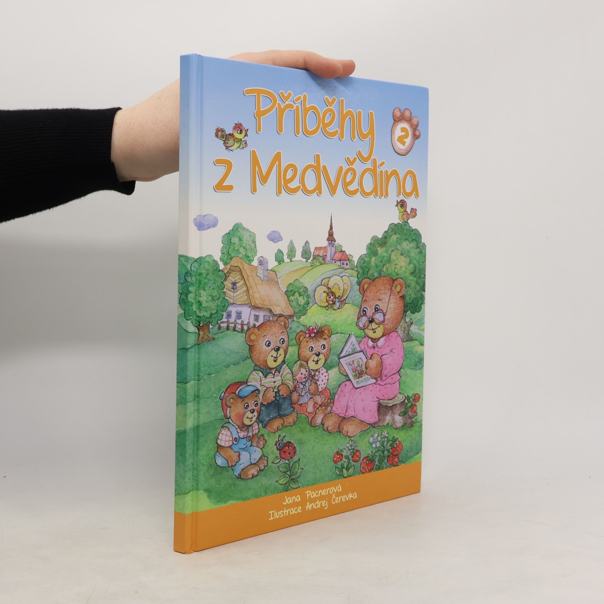 Jana Pacnerová Příběhy z Medvědína 2