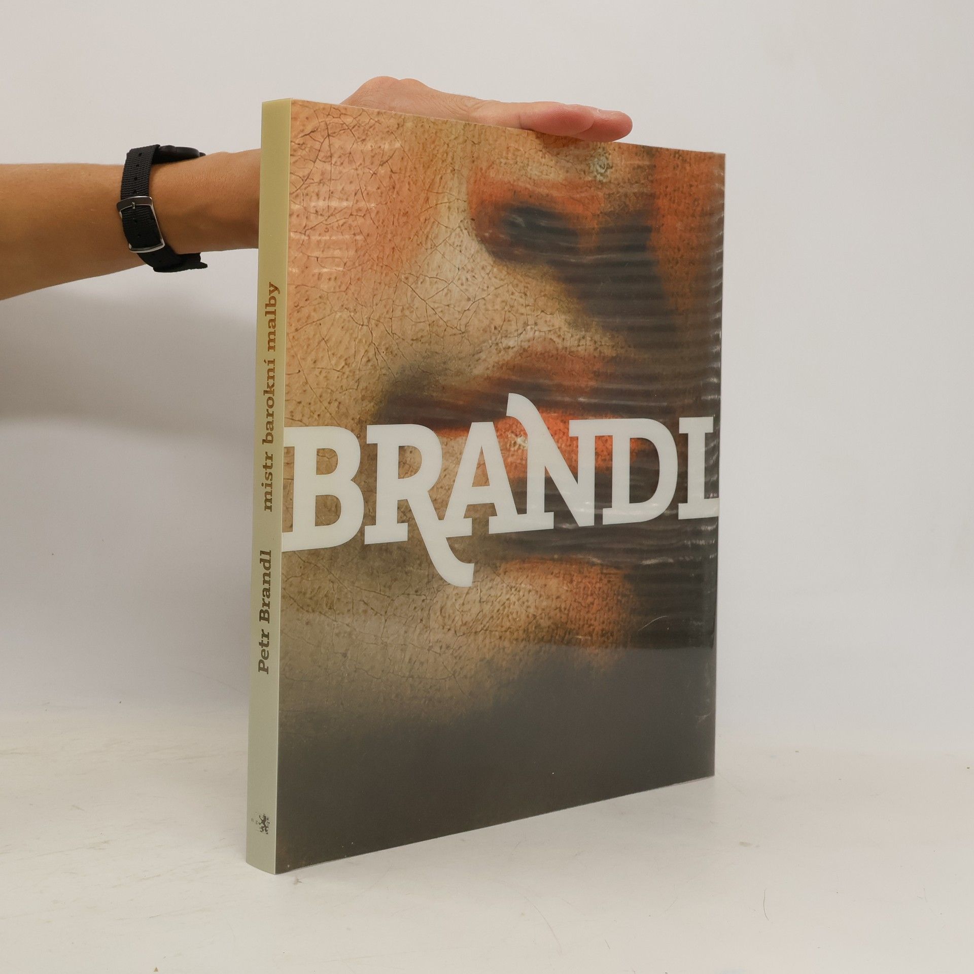 Andrea Rousová Petr Brandl