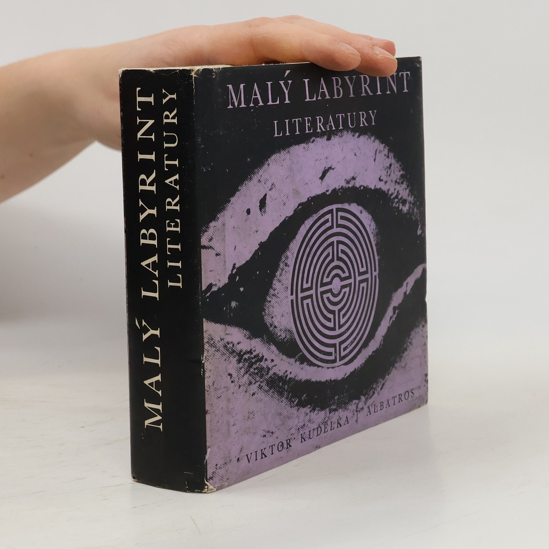 Malý labyrint literatury