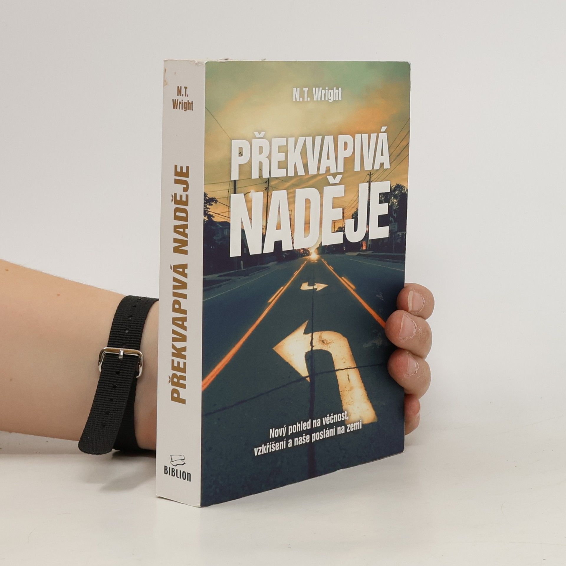 Nicholas Thomas Wright Překvapivá naděje