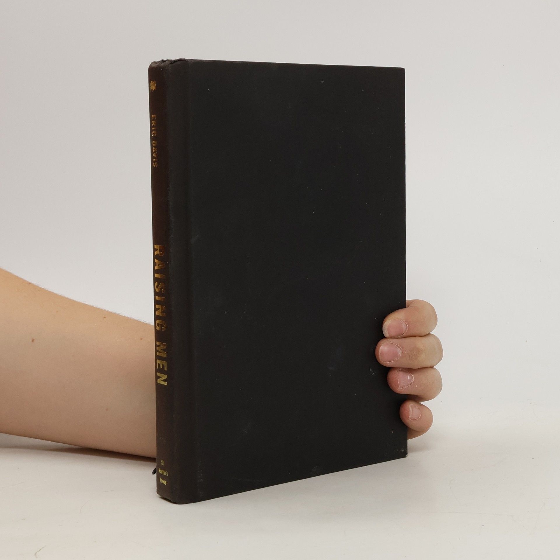 Eric Davis Raising Men