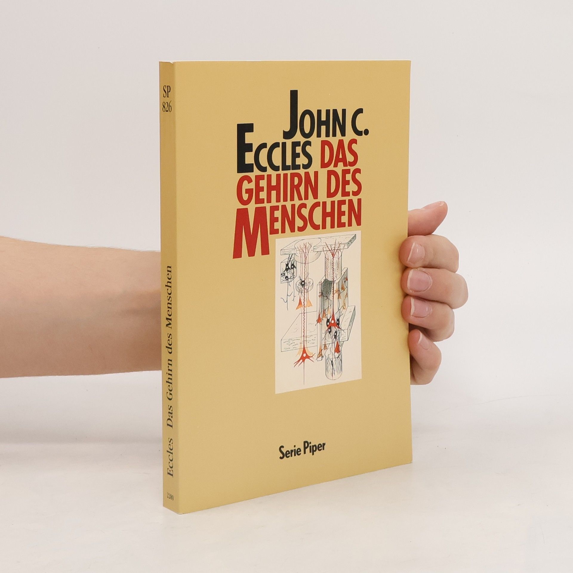 John Carew Eccles Das Gehirn des Menschen