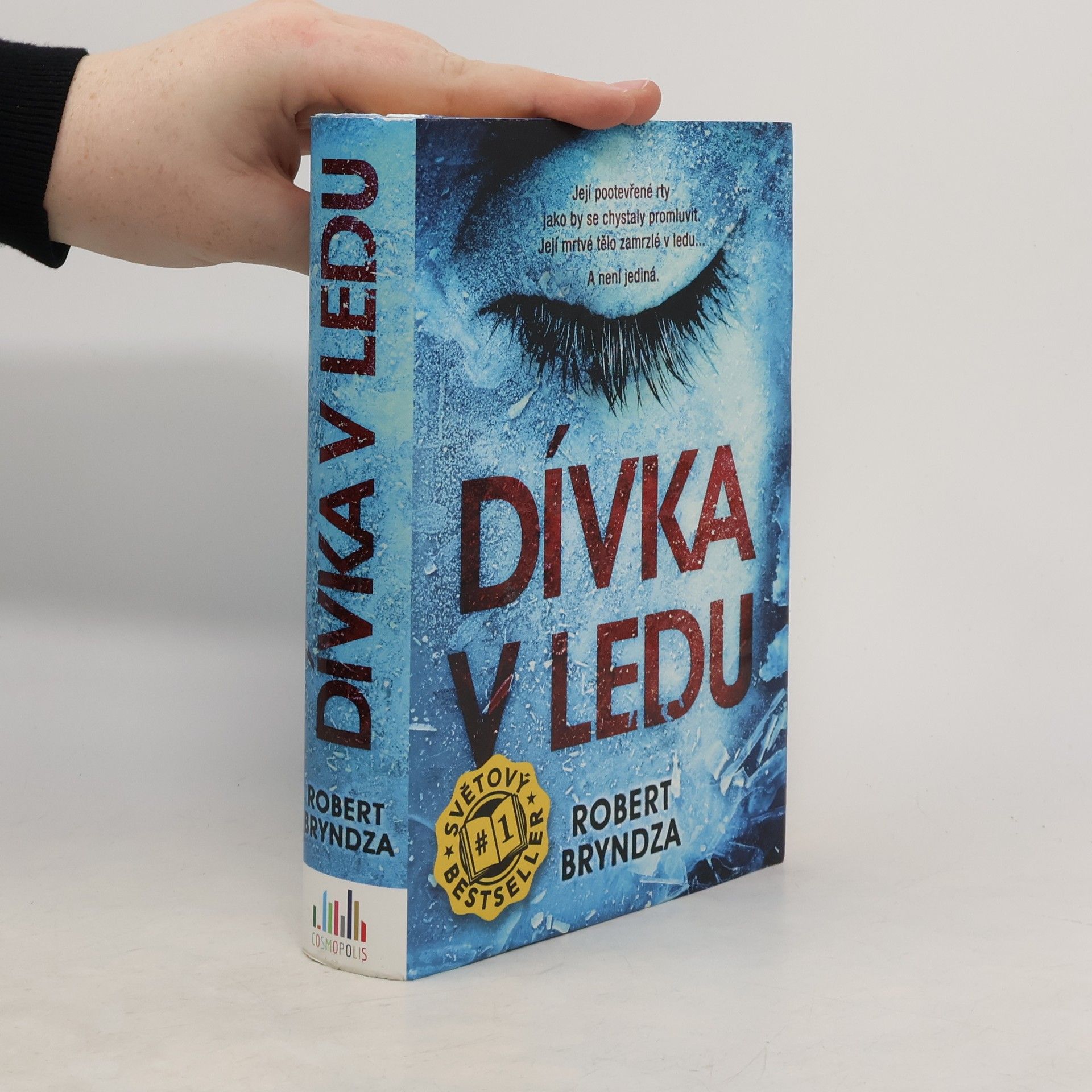 Robert Bryndza Dívka v ledu