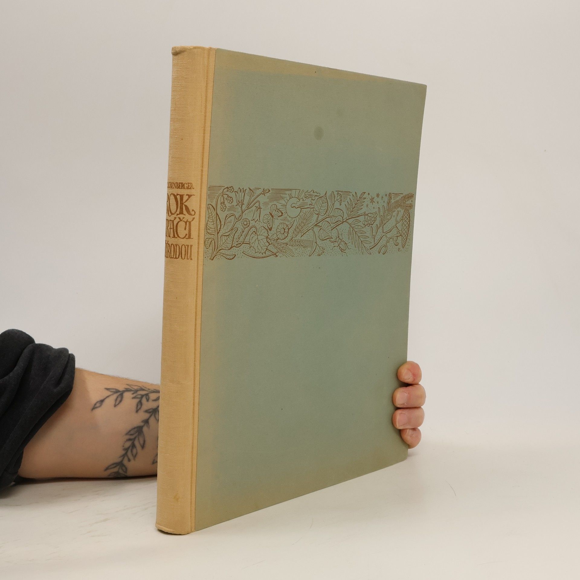 Jan Obenberger Rok kráčí přírodou