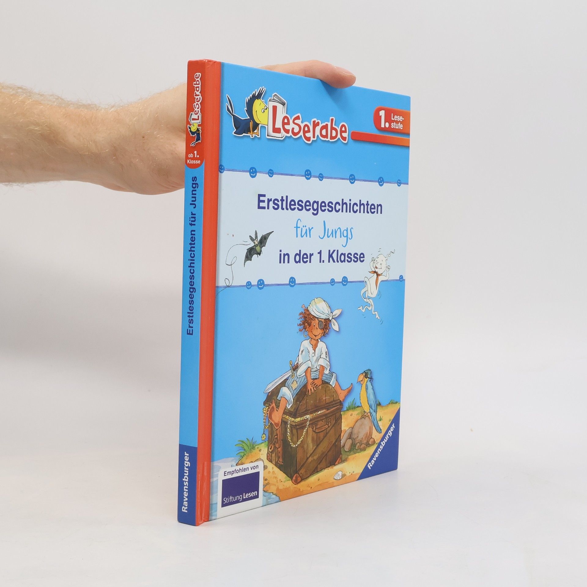 Silke Voigt Erstlesegeschichten für Jungs in der 1. Klasse