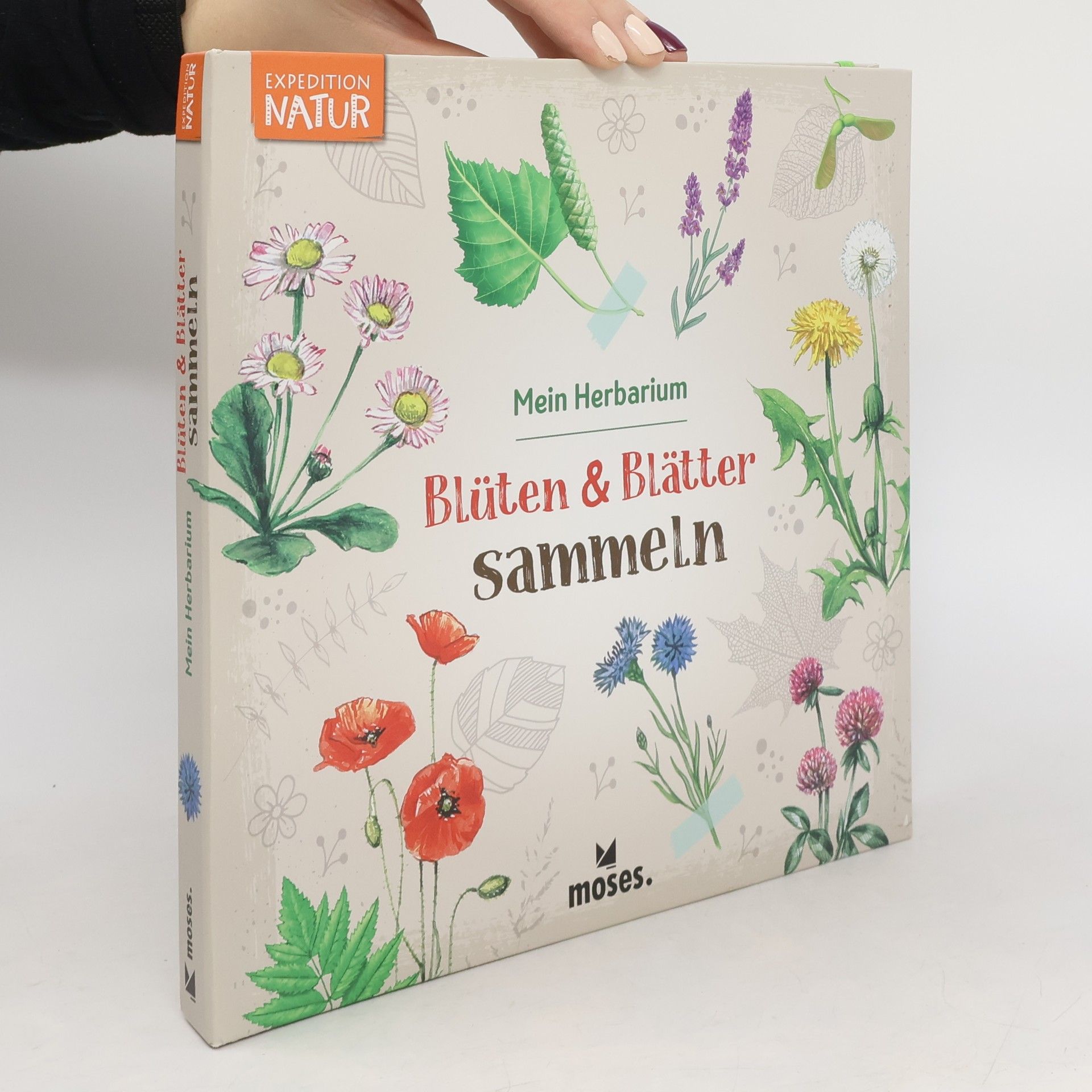 Blüten & Blätter sammeln