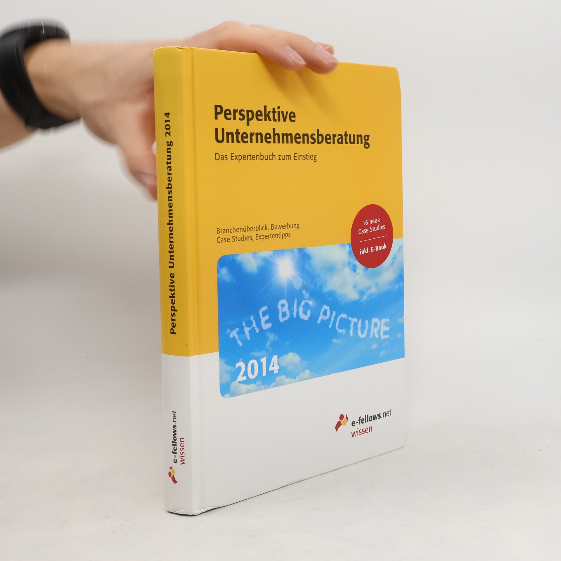 Christian Lippl Perspektive Unternehmensberatung 2014