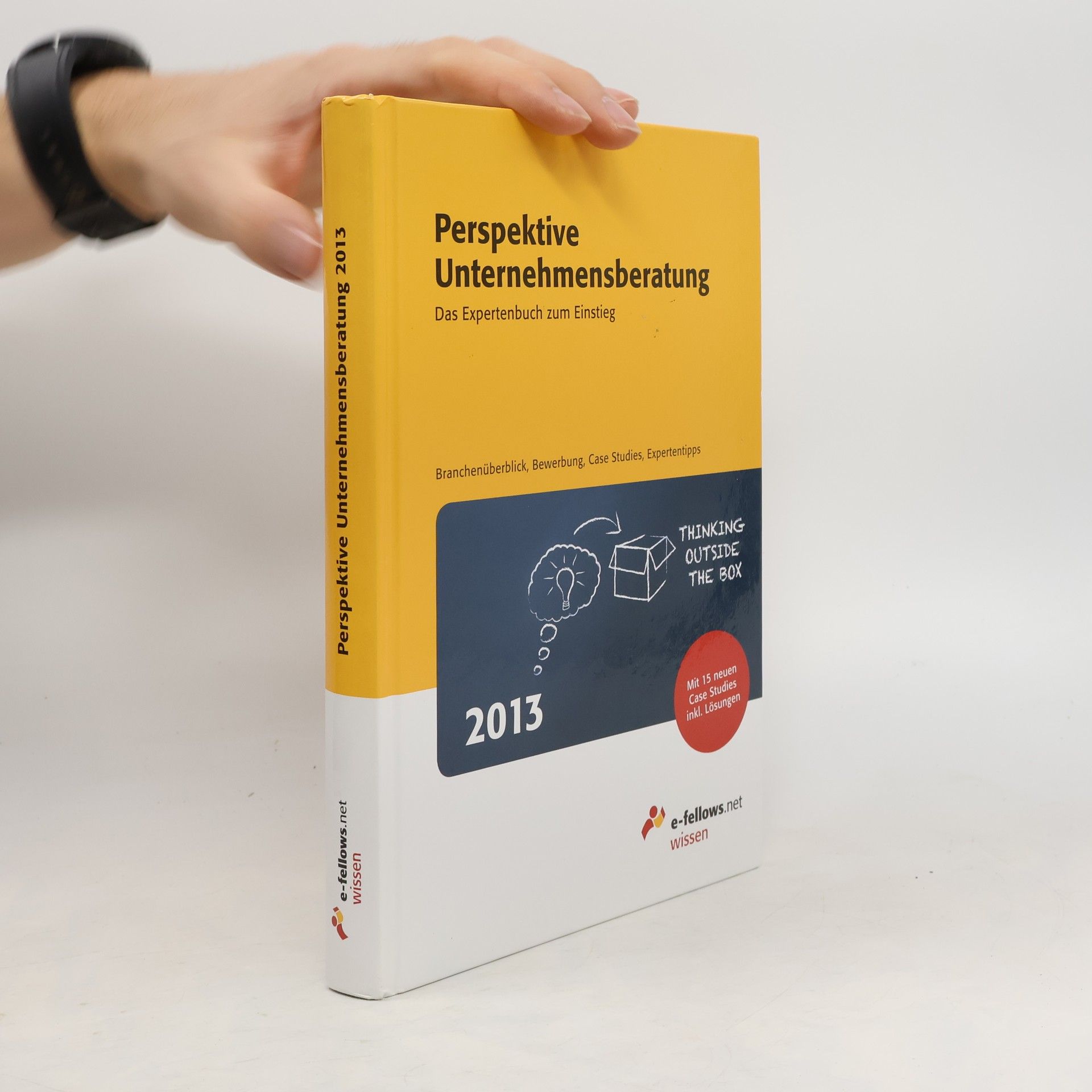 Perspektive Unternehmensberatung 2013