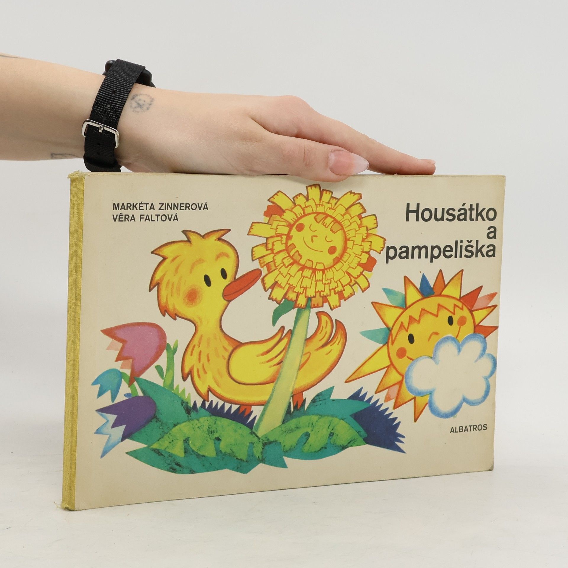 Markéta Zinnerová Housátko a pampeliška