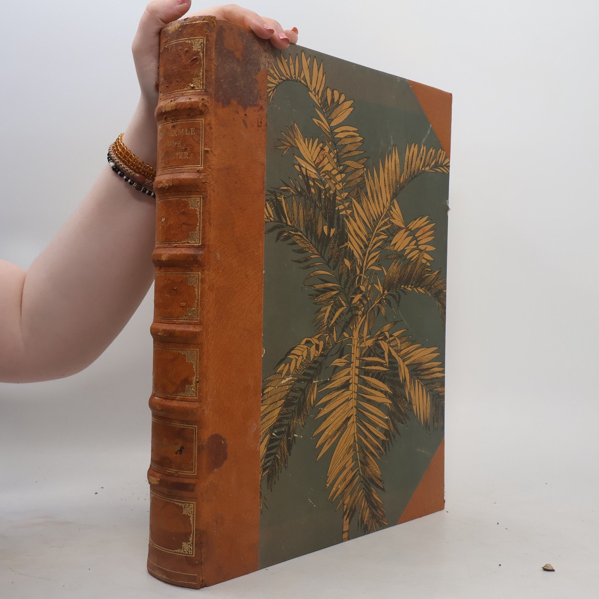 Johannes Brondsted Vore gamle tropekolonier