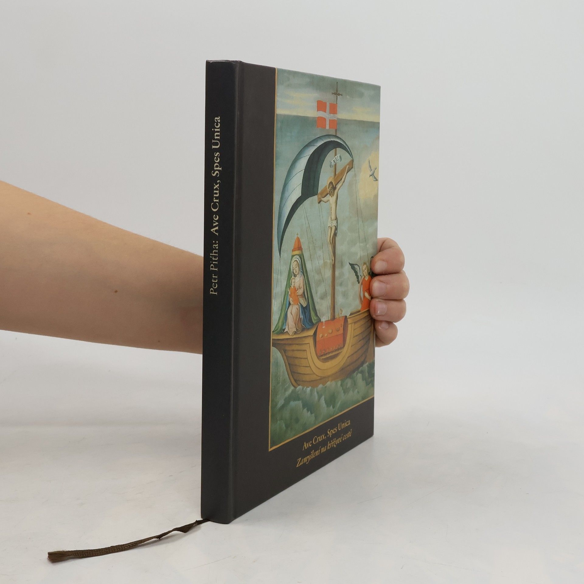 Petr Piťha Ave crux, spes unica : zamyšlení na křížové cestě