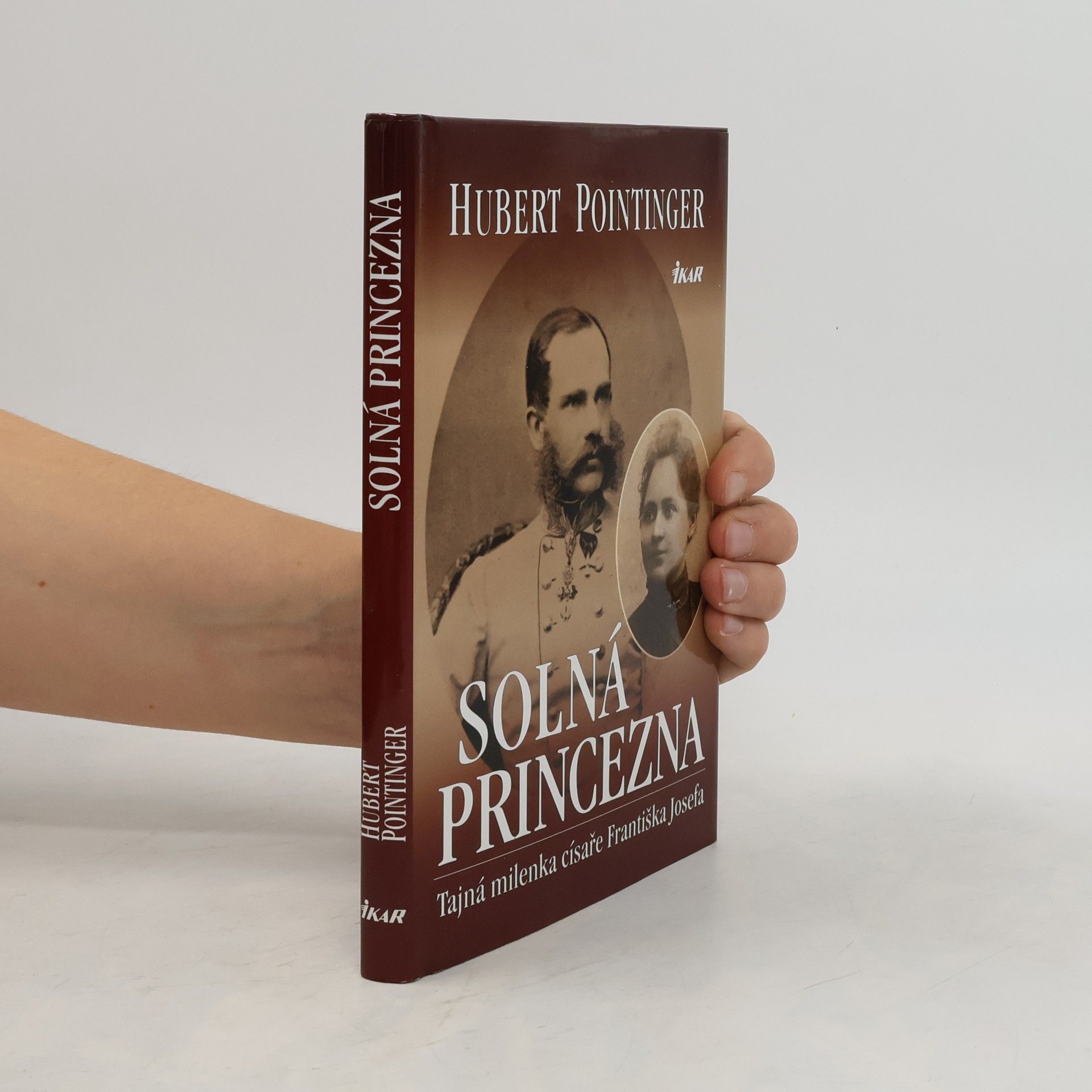 Hubert Pointinger Solná princezna