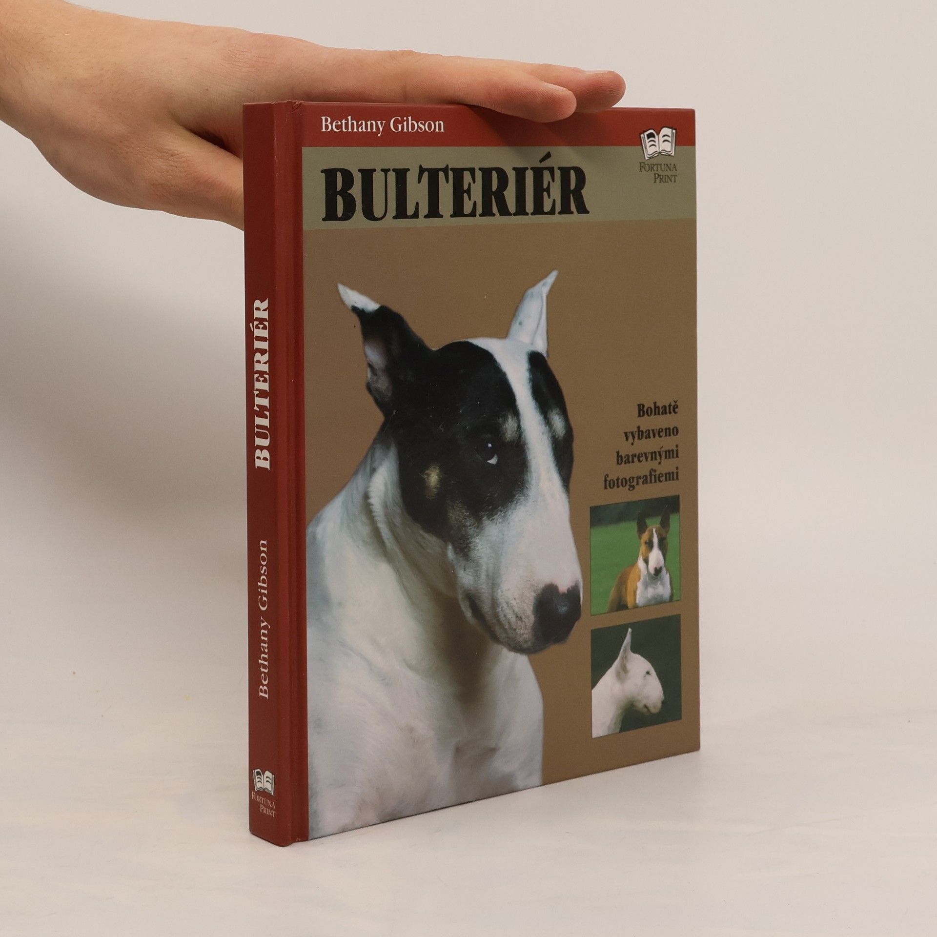 Bethany Gibson Bulteriér