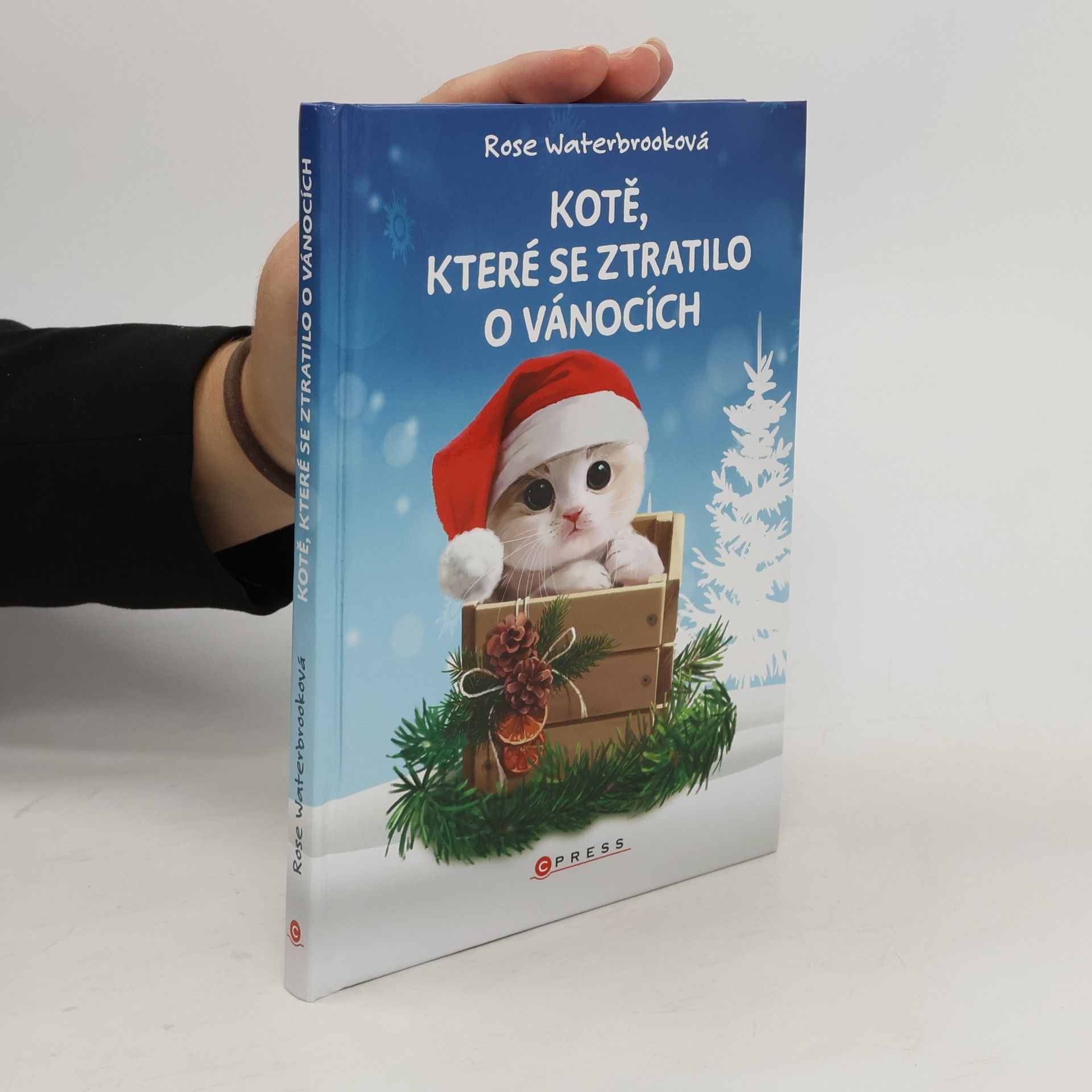 Kotě, které se ztratilo o Vánocích