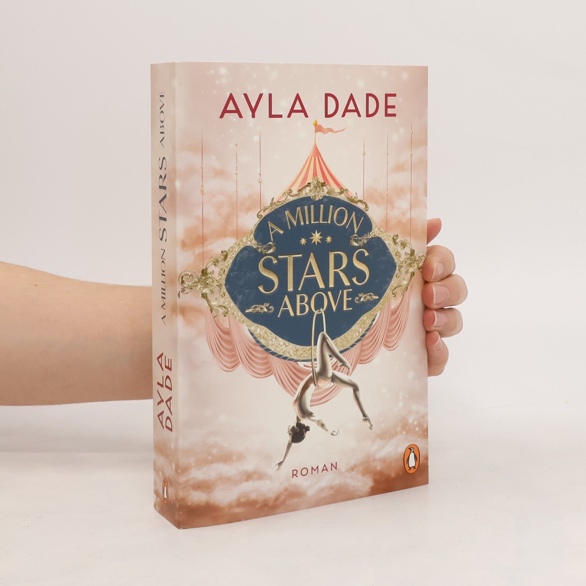 Ayla Dade A Million Stars Above / Sky Circus Bd.1