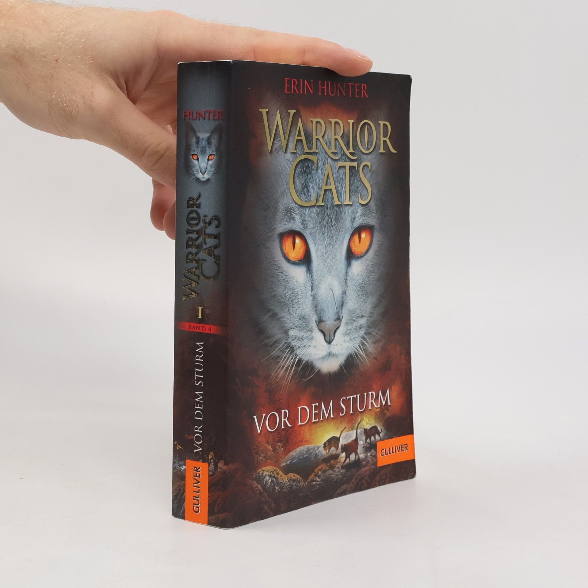 Erin Hunter Warrior Cats. Vor dem Sturm