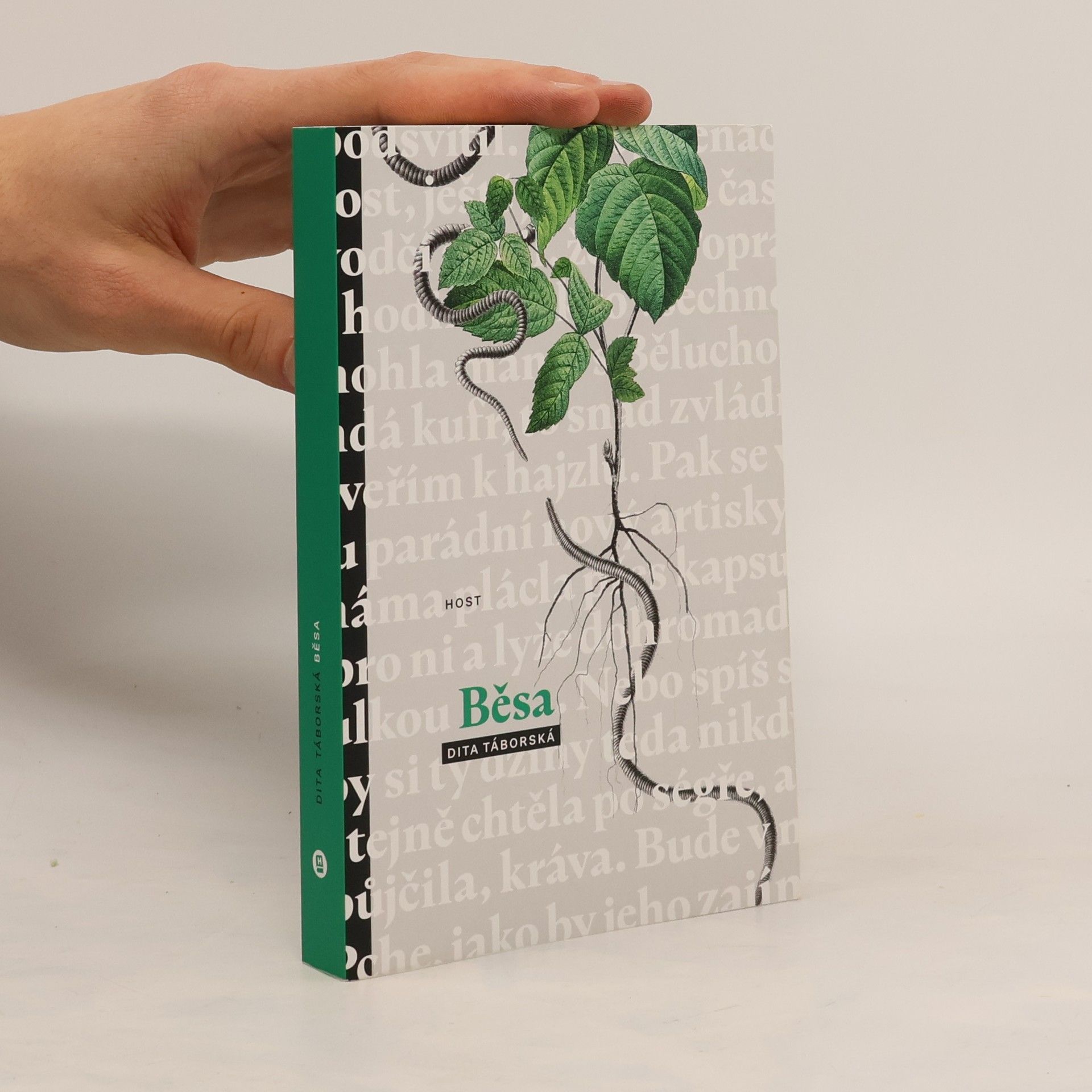 Dita Táborská Běsa