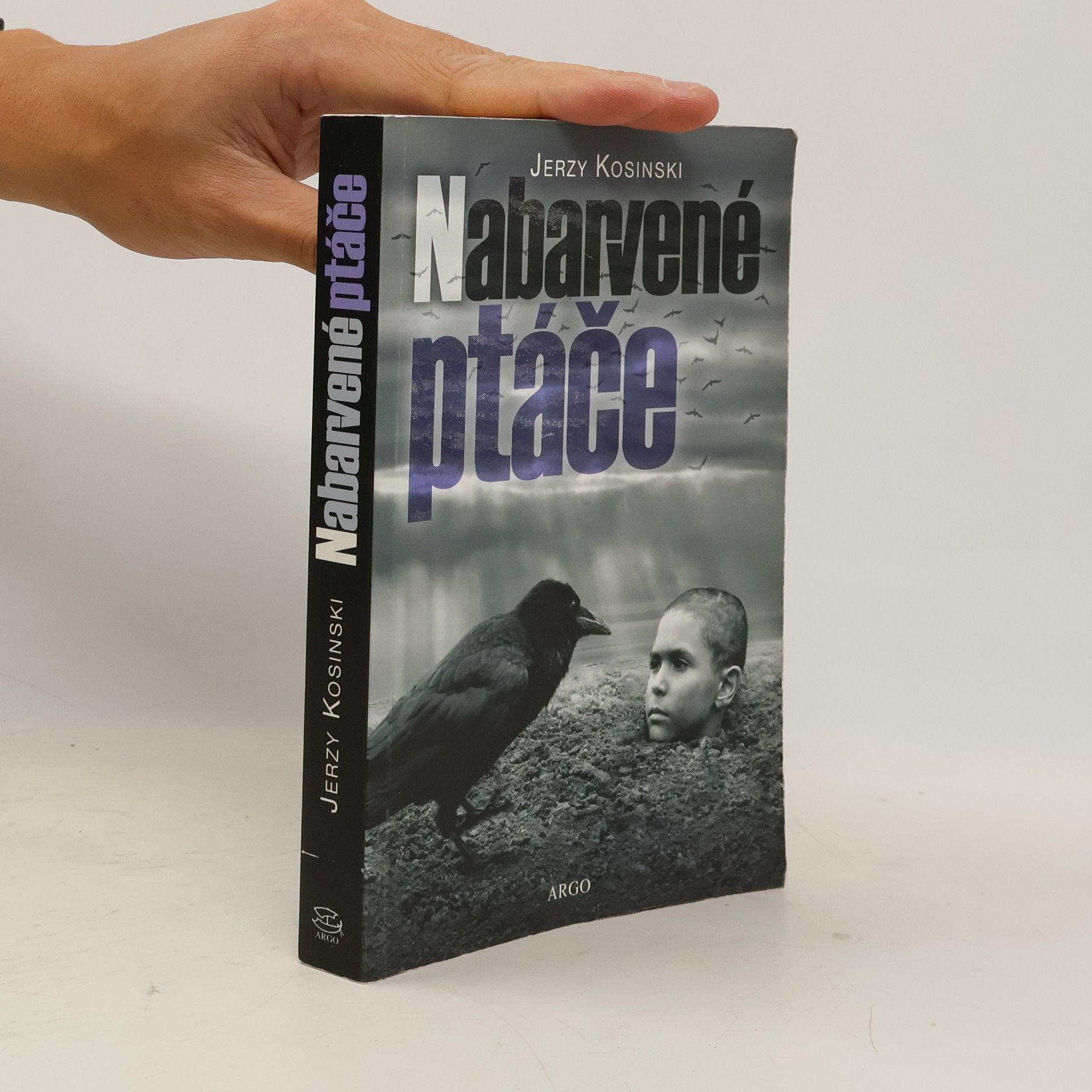 Jerzy Kosiński Nabarvené ptáče