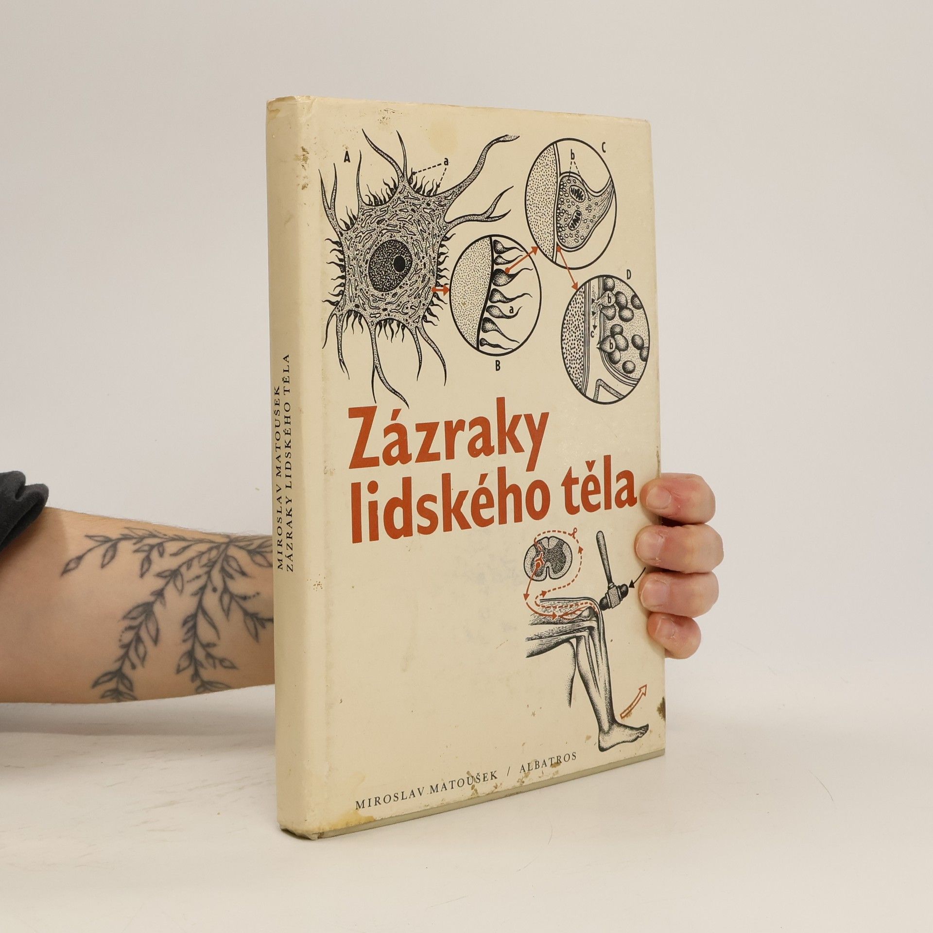 Zázraky lidského těla