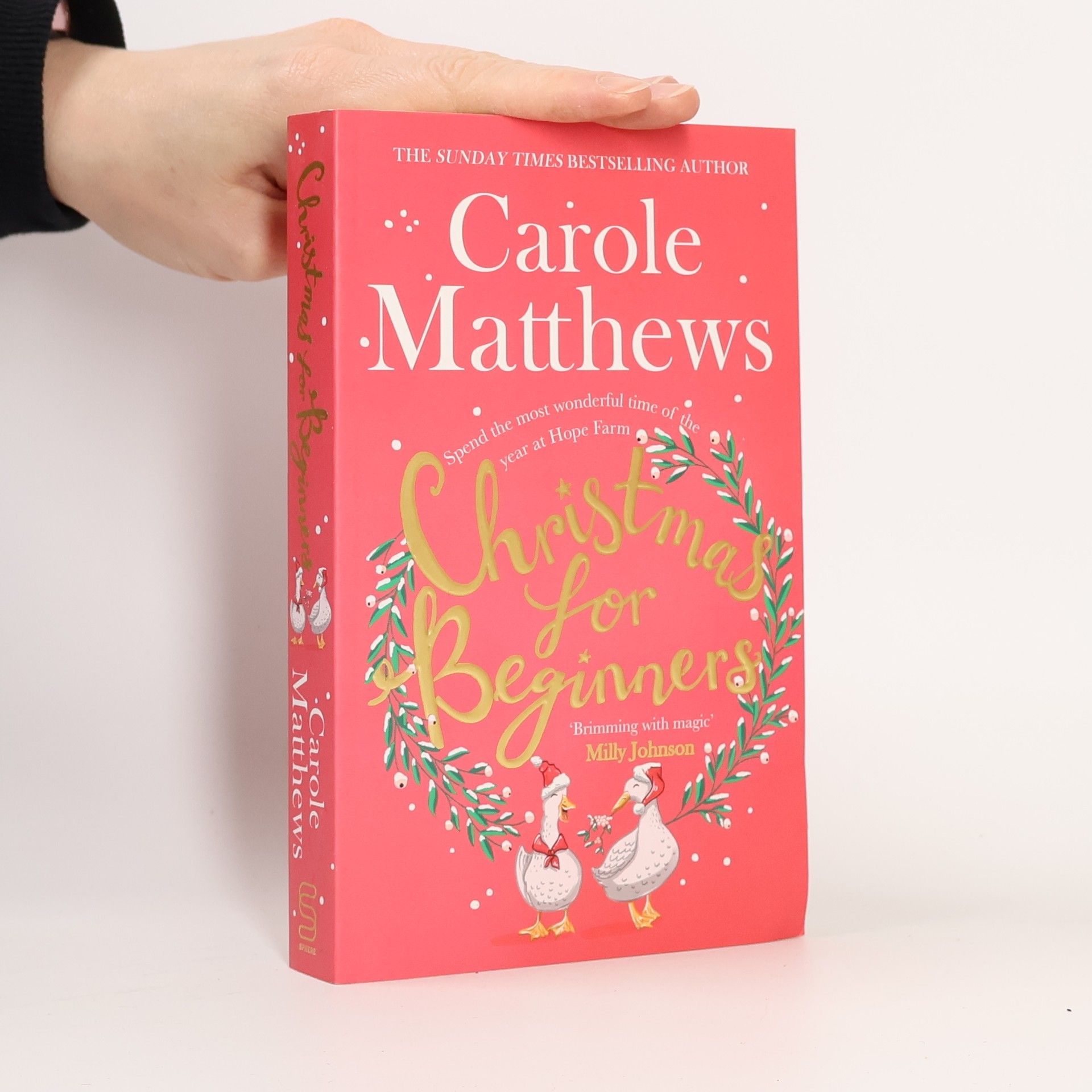 Carole Matthews Christmas for Beginners