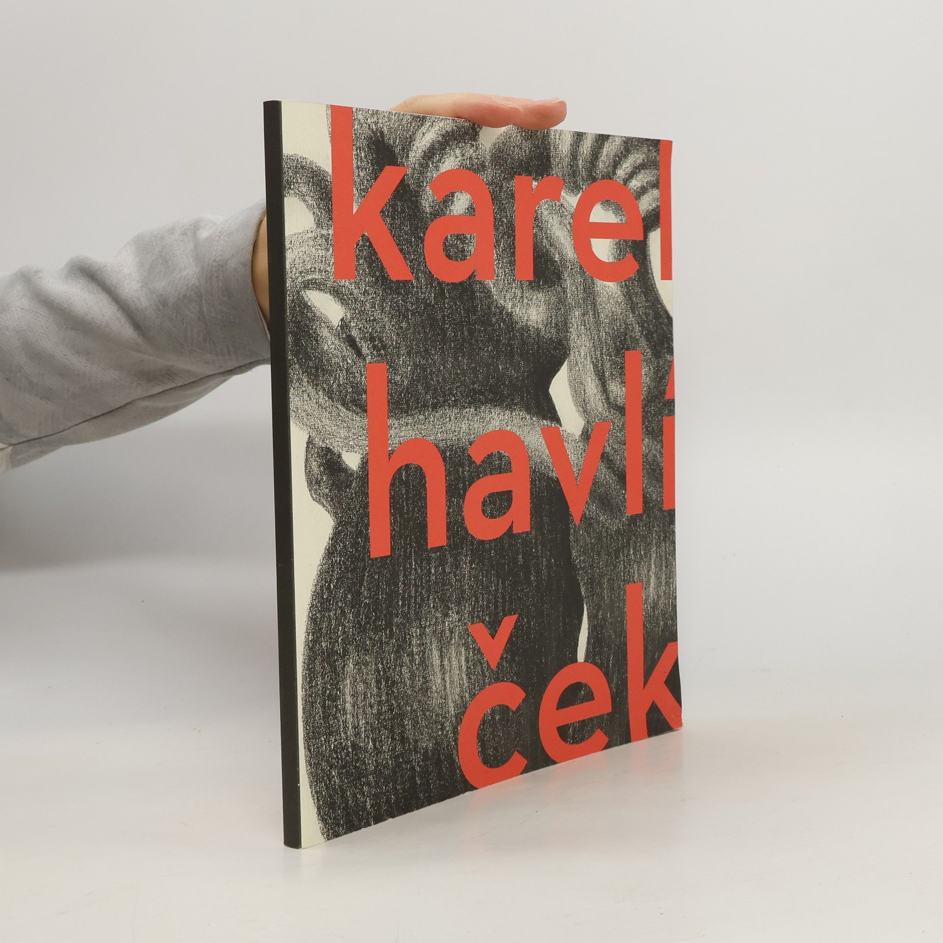 Kolektiv autorů Karel Havlíček : gigantomachie