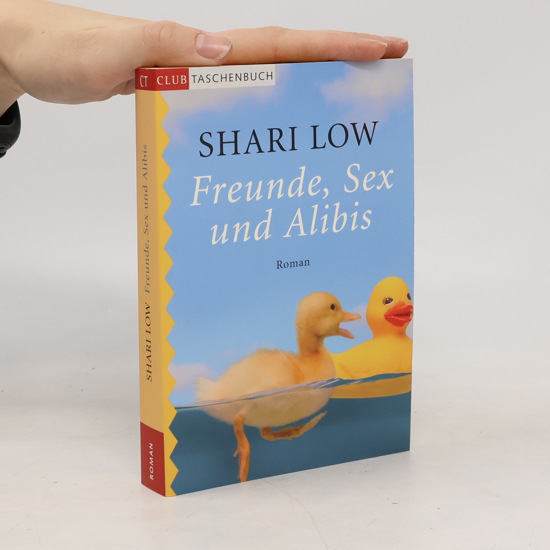 Freunde, Sex und Alibis