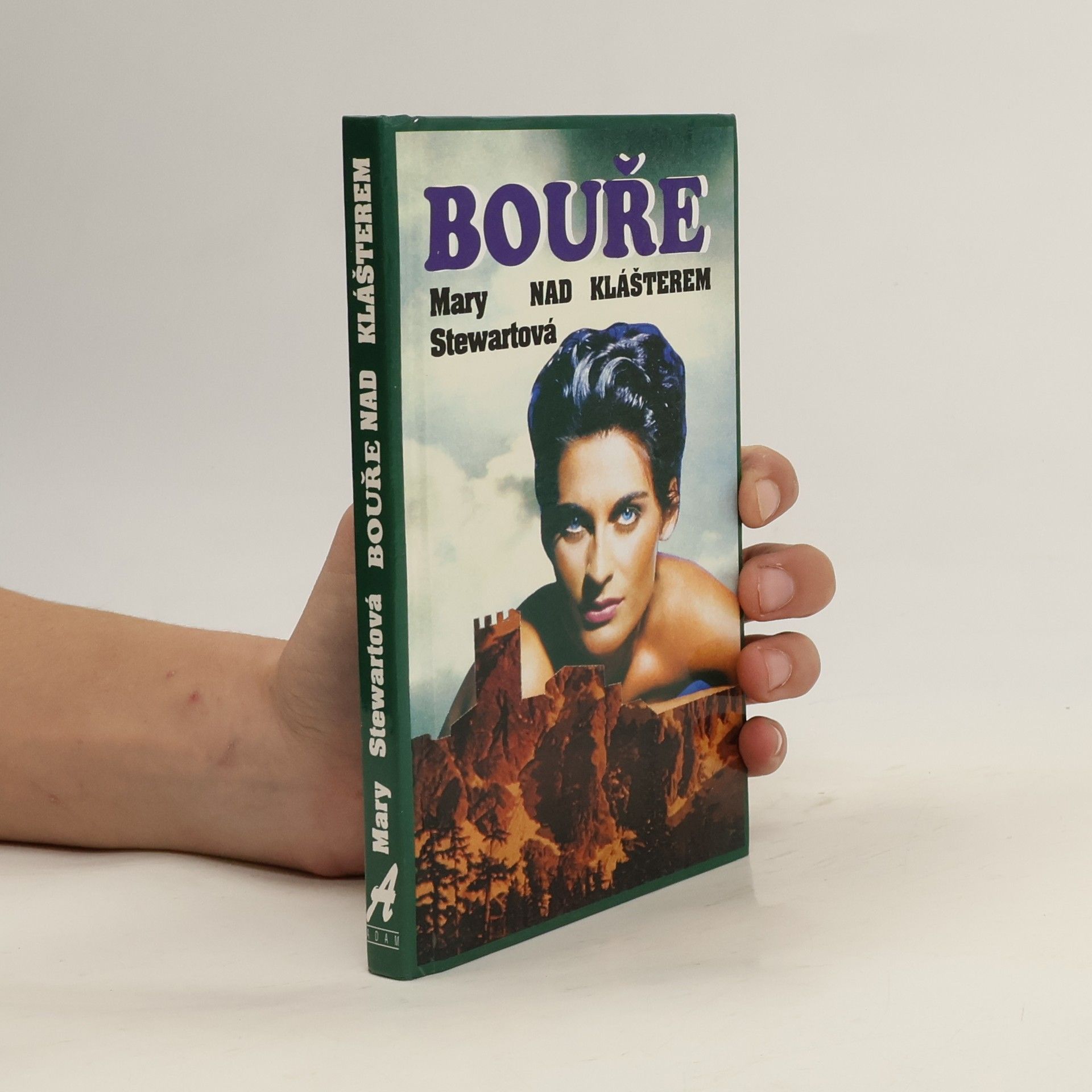 Mary Stewart-Wilson Bouře nad klášterem