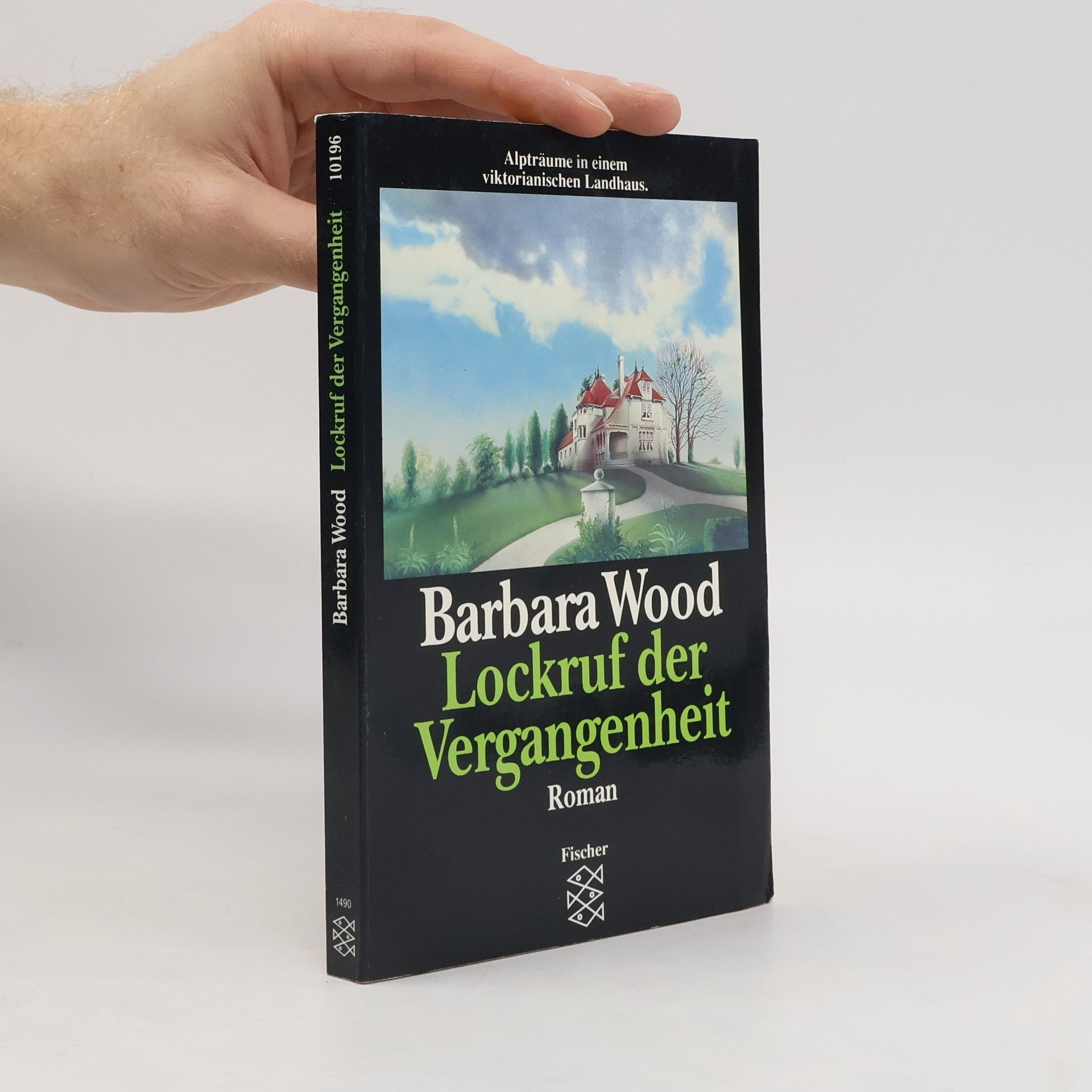 Barbara Wood Lockruf der Vergangenheit