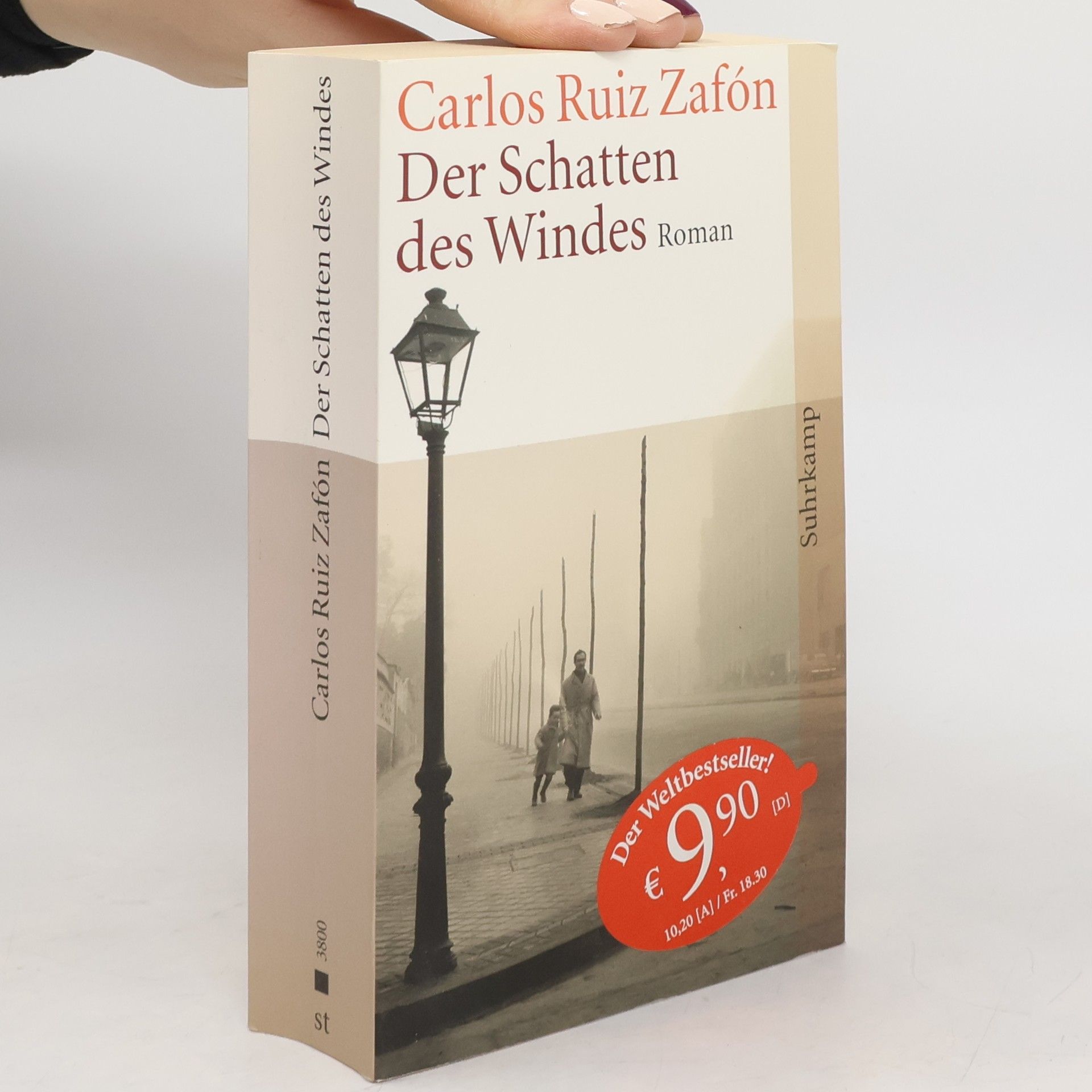 Carlos Ruiz Zafón Der Schatten des Windes