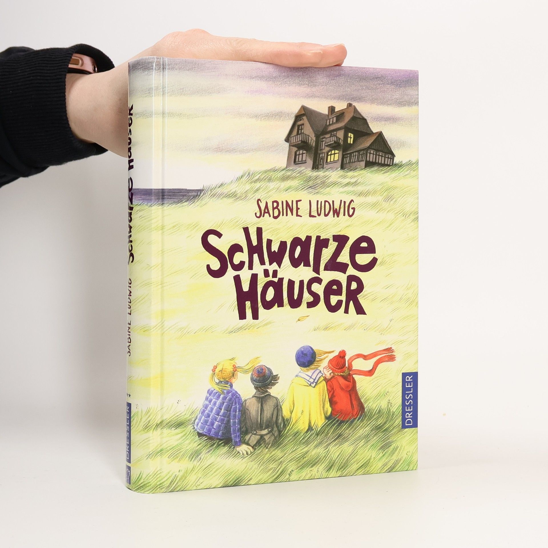 Sabine Ludwig Schwarze Häuser