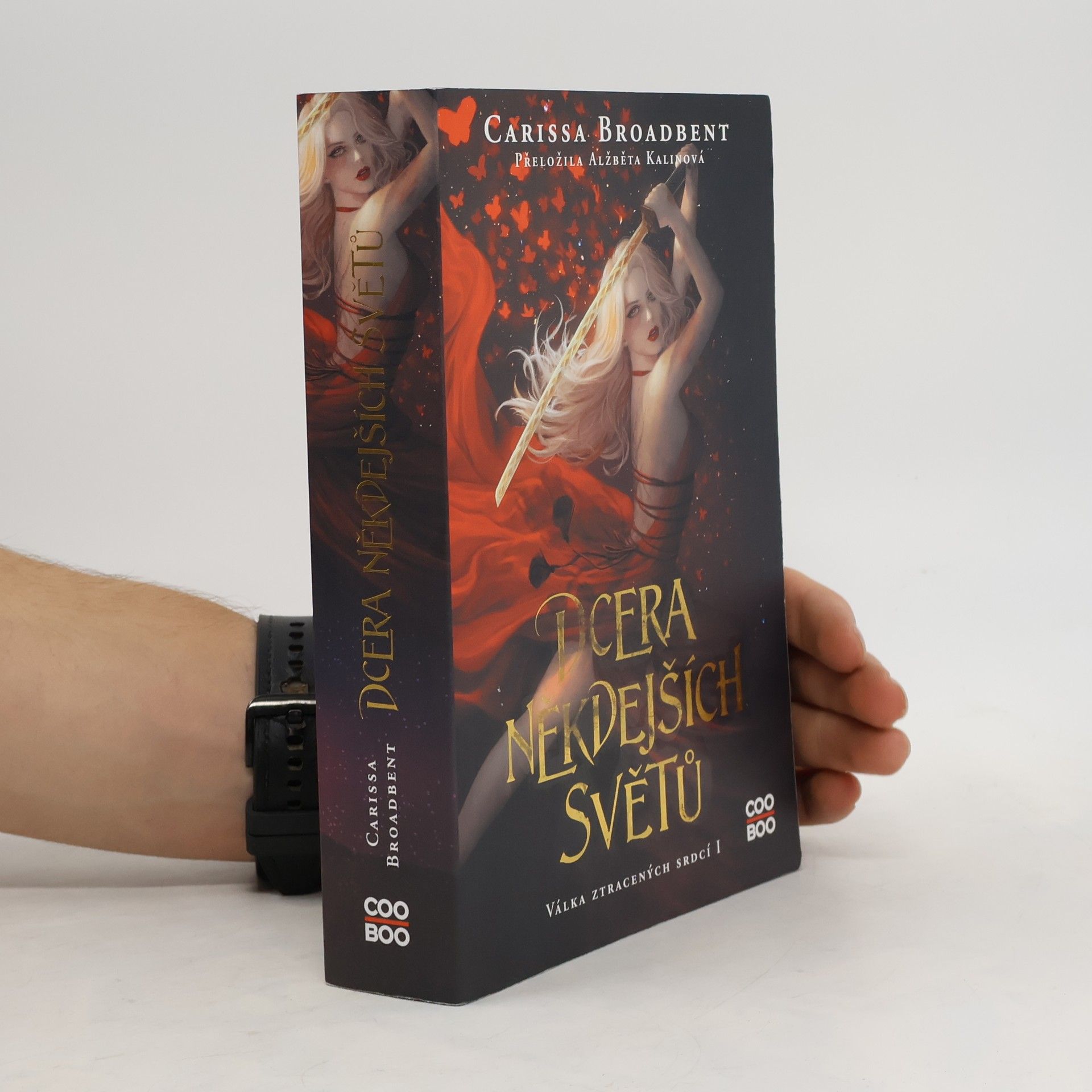 Carissa Broadbent Válka ztracených srdcí. I, Dcera někdejších světů