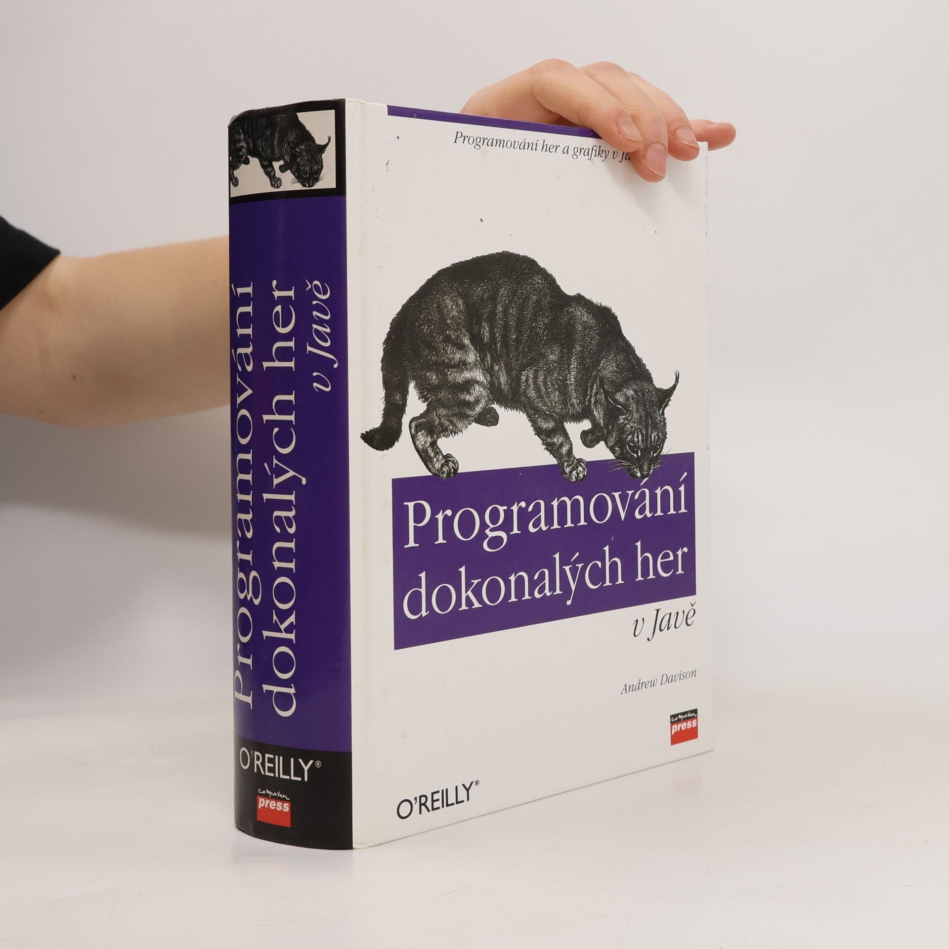 Andrew Davison Programování dokonalých her v Javě