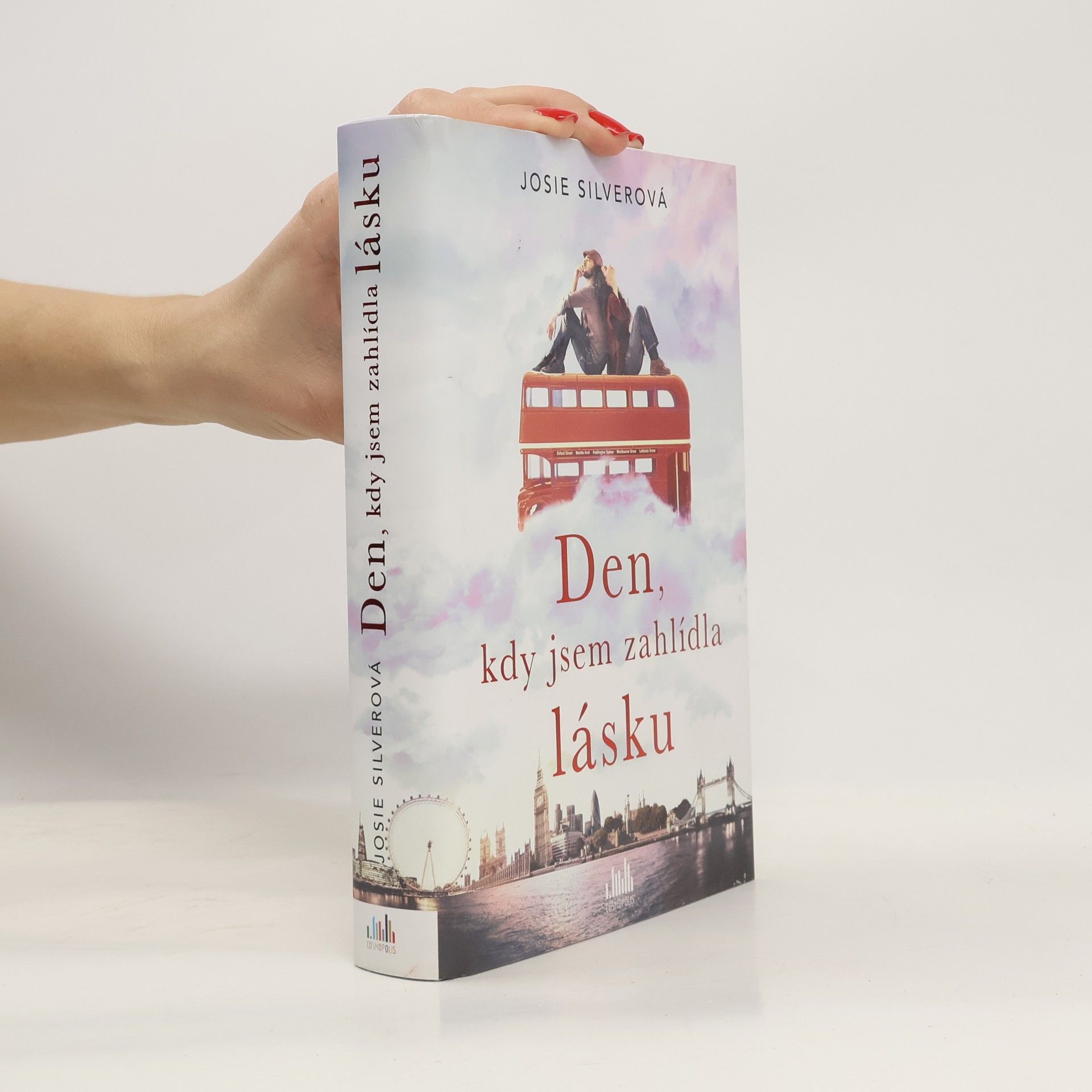 Josie Silver Den, kdy jsem zahlídla lásku