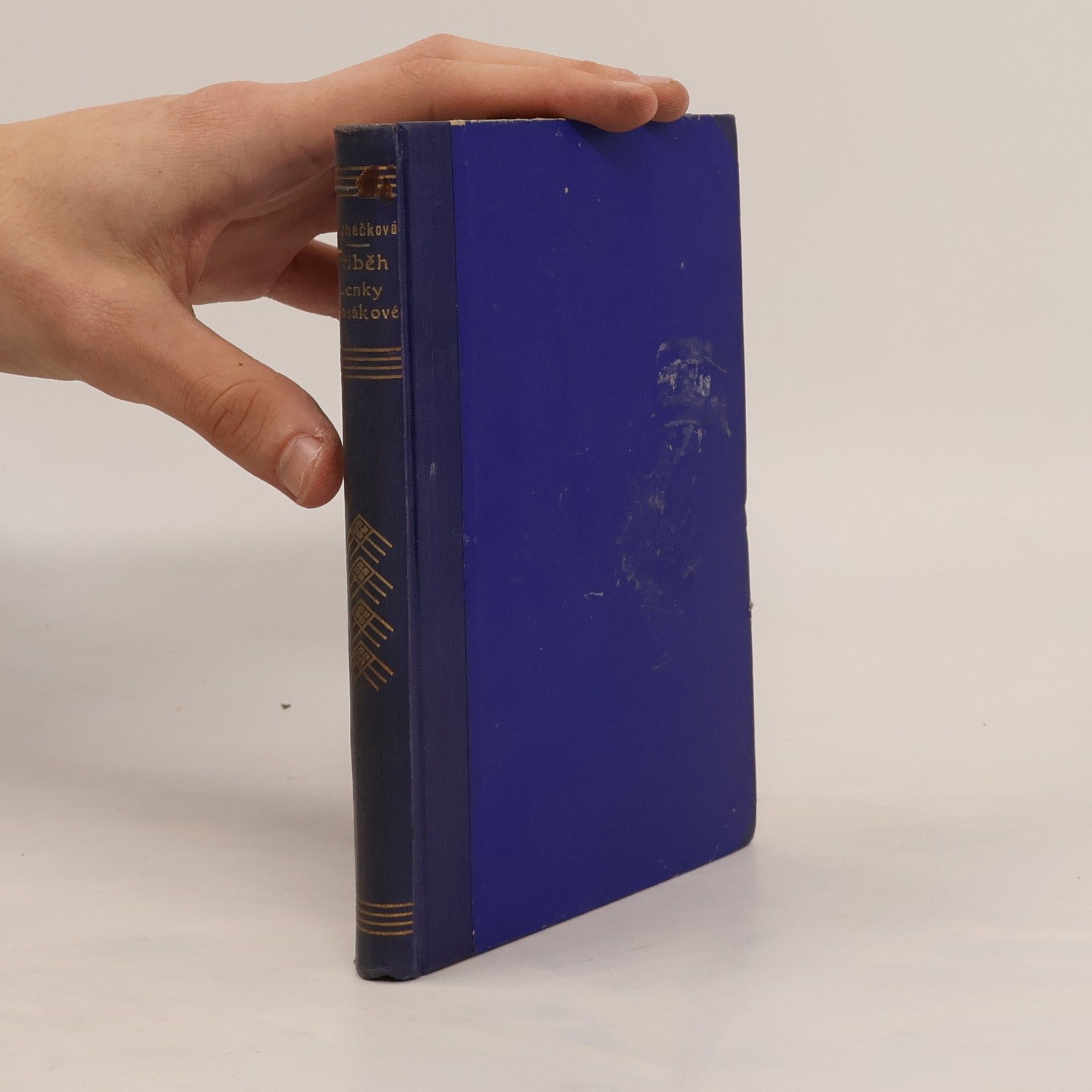 Příběh Lenky Vlasákové