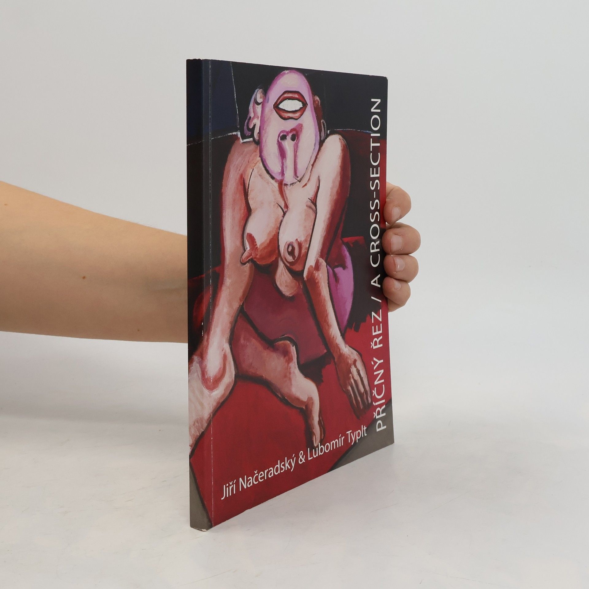 Jiří Načeradský & Lubomír Typlt : Příčný řez / A Cross-section
