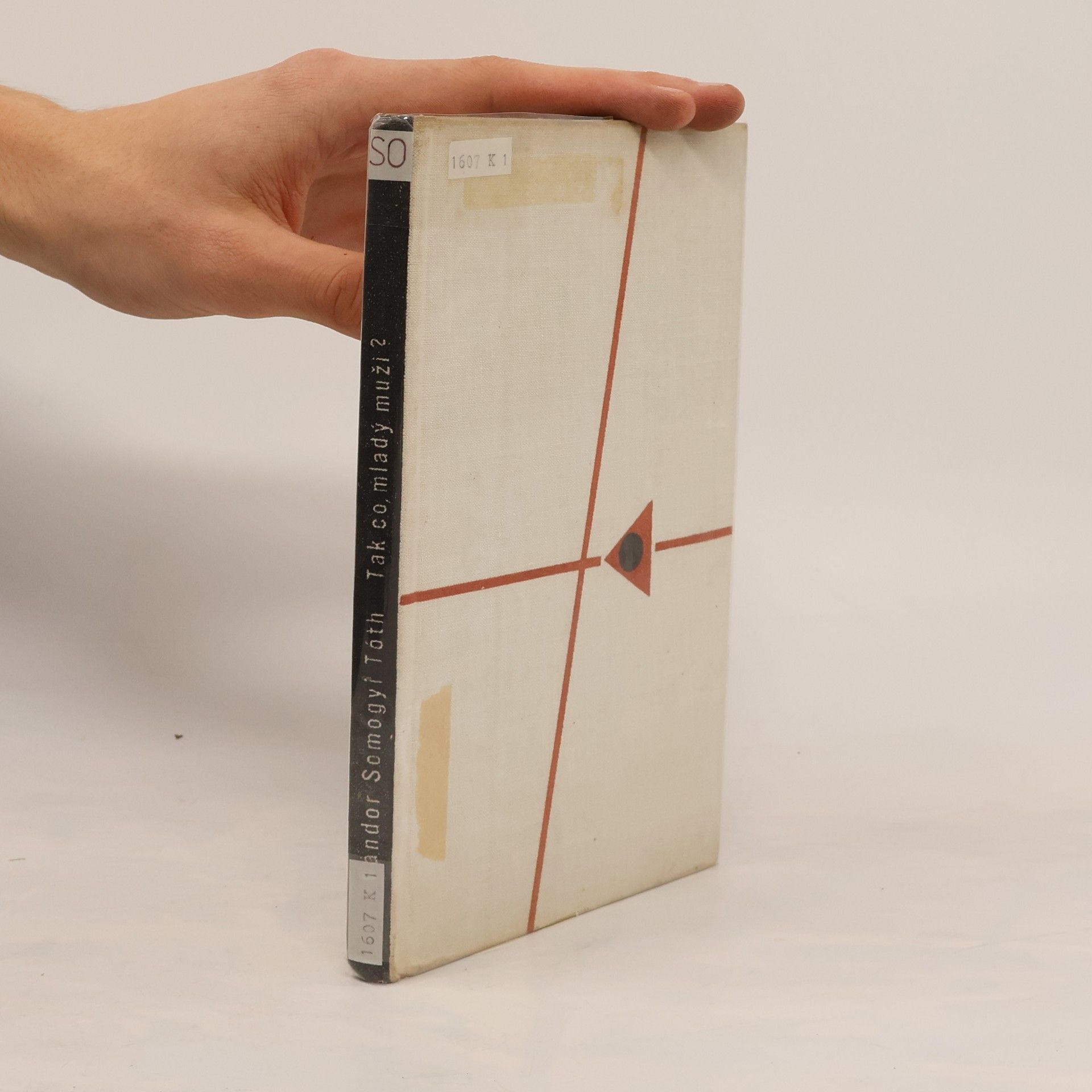 Sándor Somogyi Tóth Tak co, mladý muži?