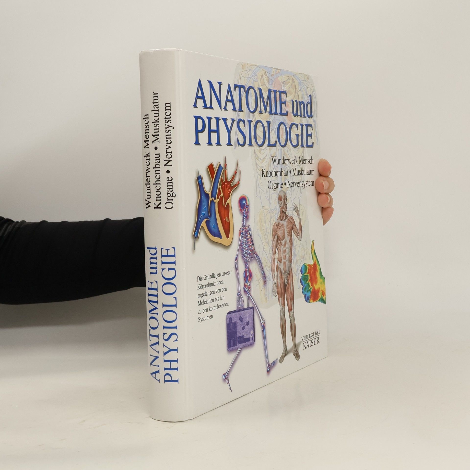 Autorenkollektiv Anatomie und Physiologie