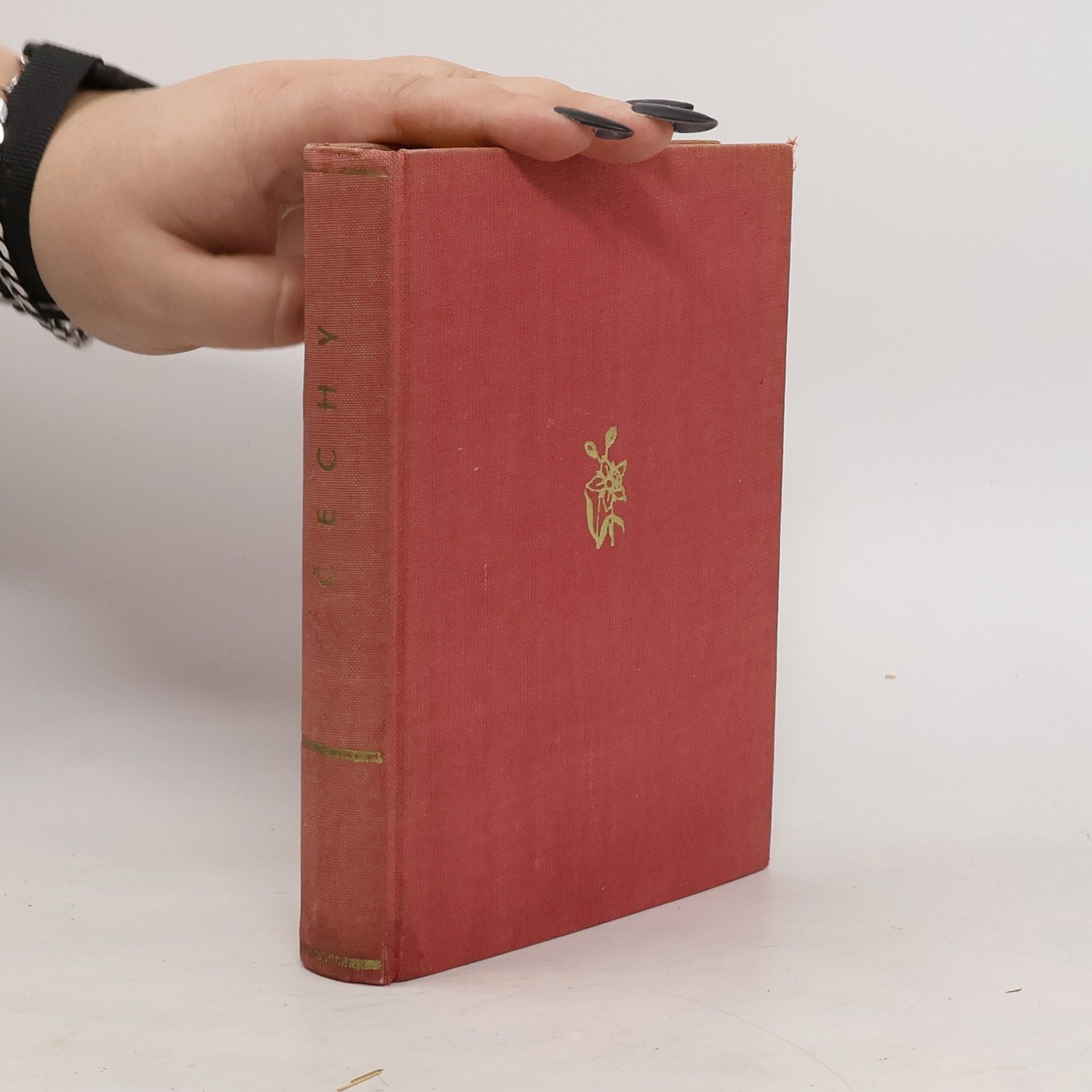 Čechy. nástin historický